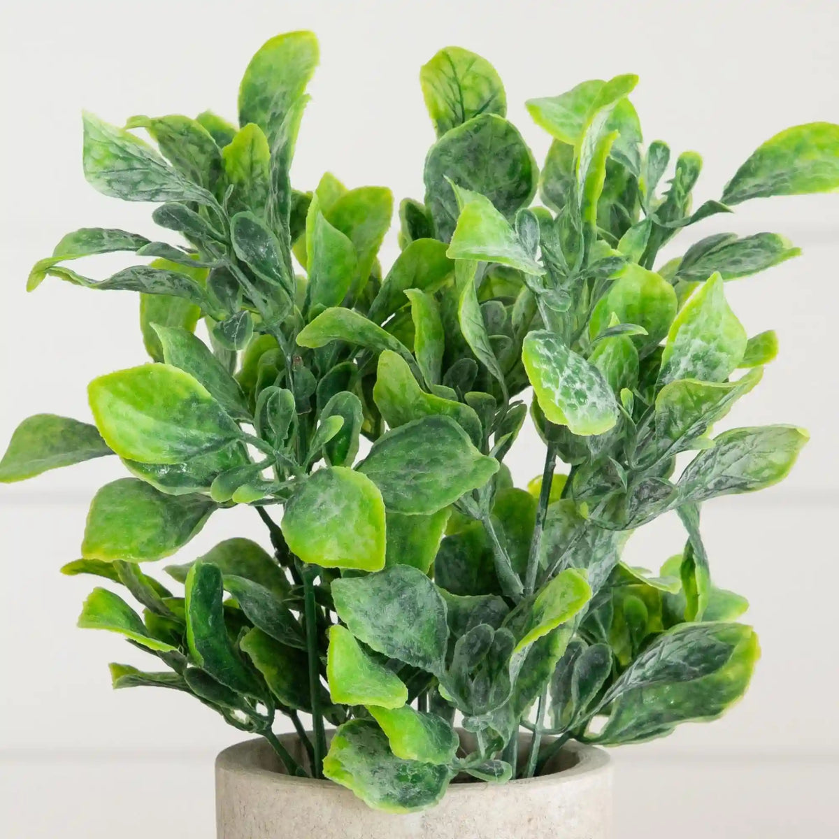 8" Artificial Greenery in Decorative Planter - Set of 2