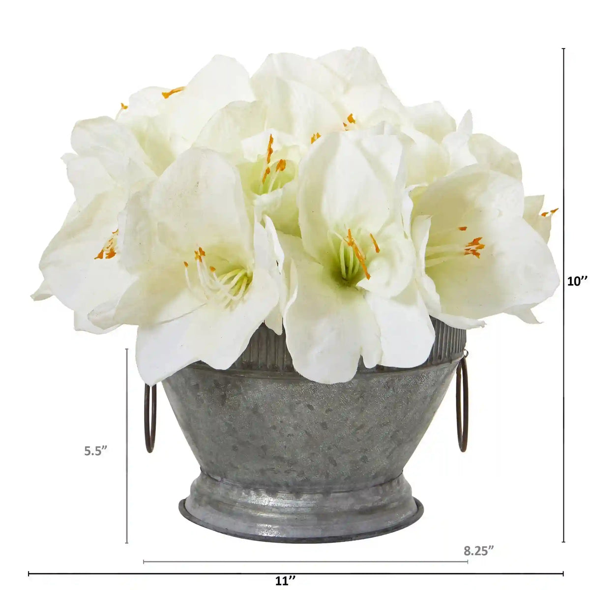 10” Amaryllis Arrangement in Bowl with Copper Trimming