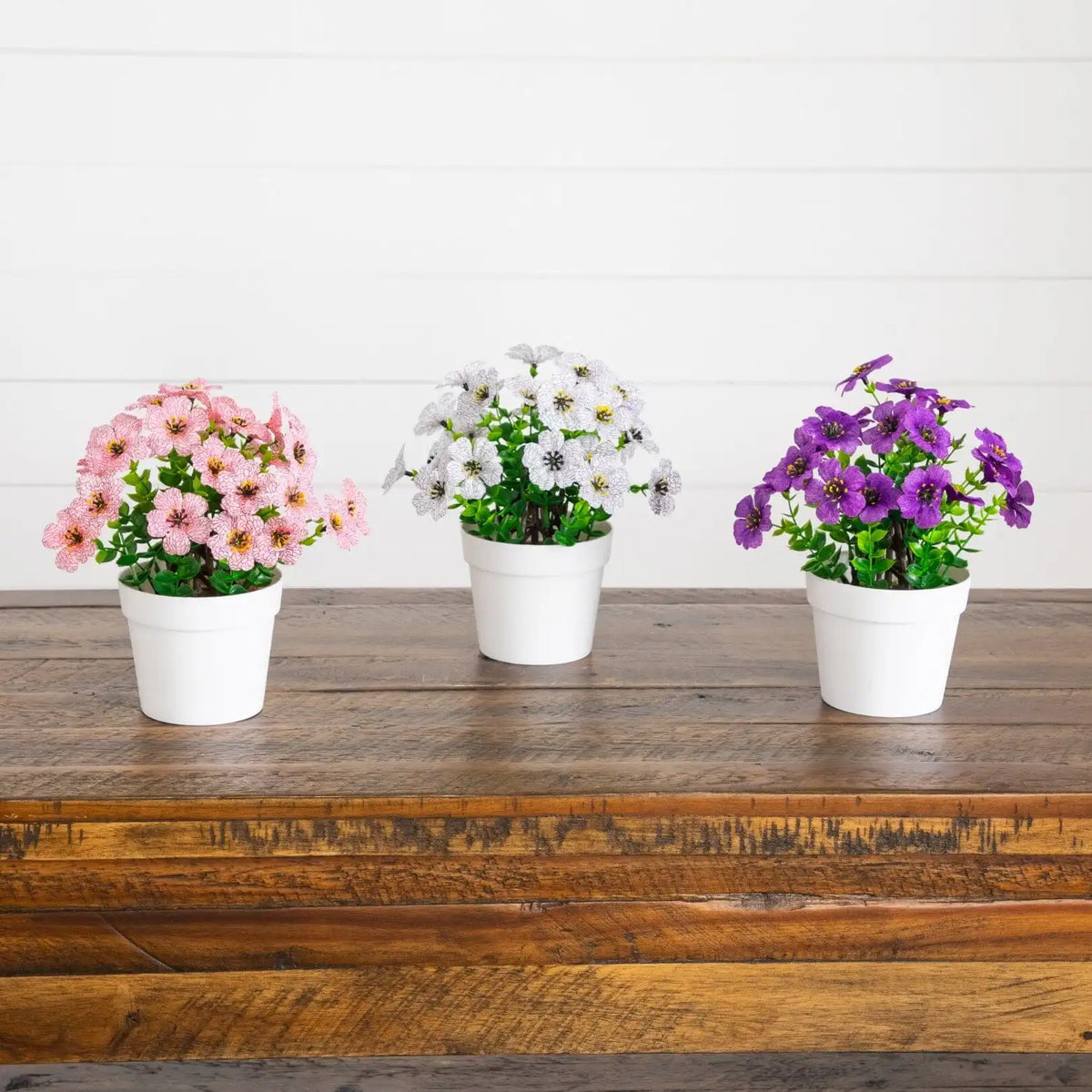 7” Mini Daisy Arrangement in Decorative Pot -Set of 3