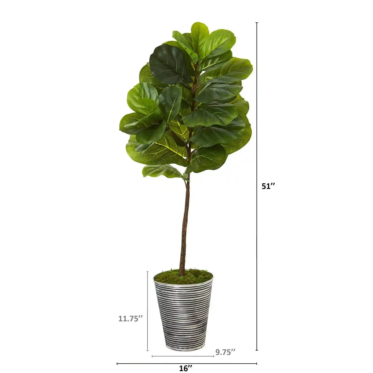 51” Fiddle Leaf Artificial Tree in Decorative Tin Planter (Real Touch)