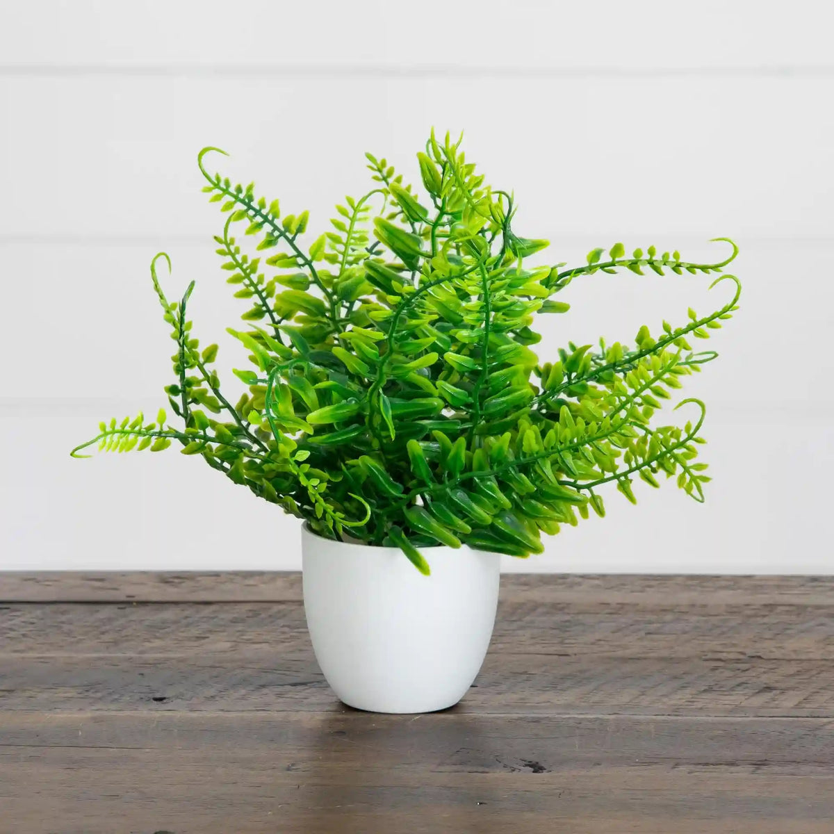 7” Artificial Fern in White Round Pot - Set of 3