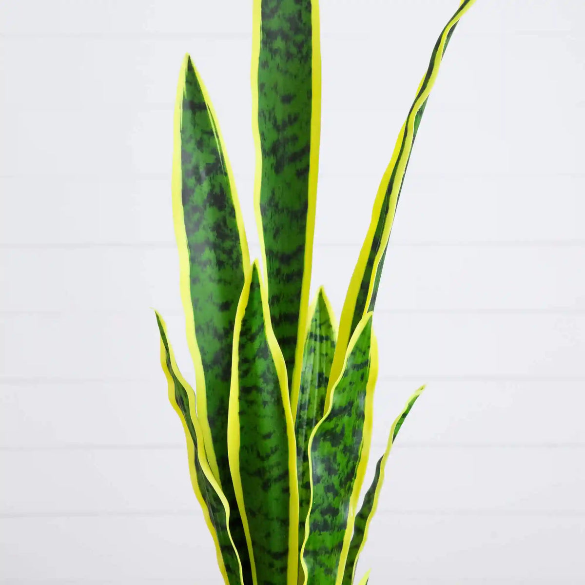 30" Artificial Sansevieria Plant