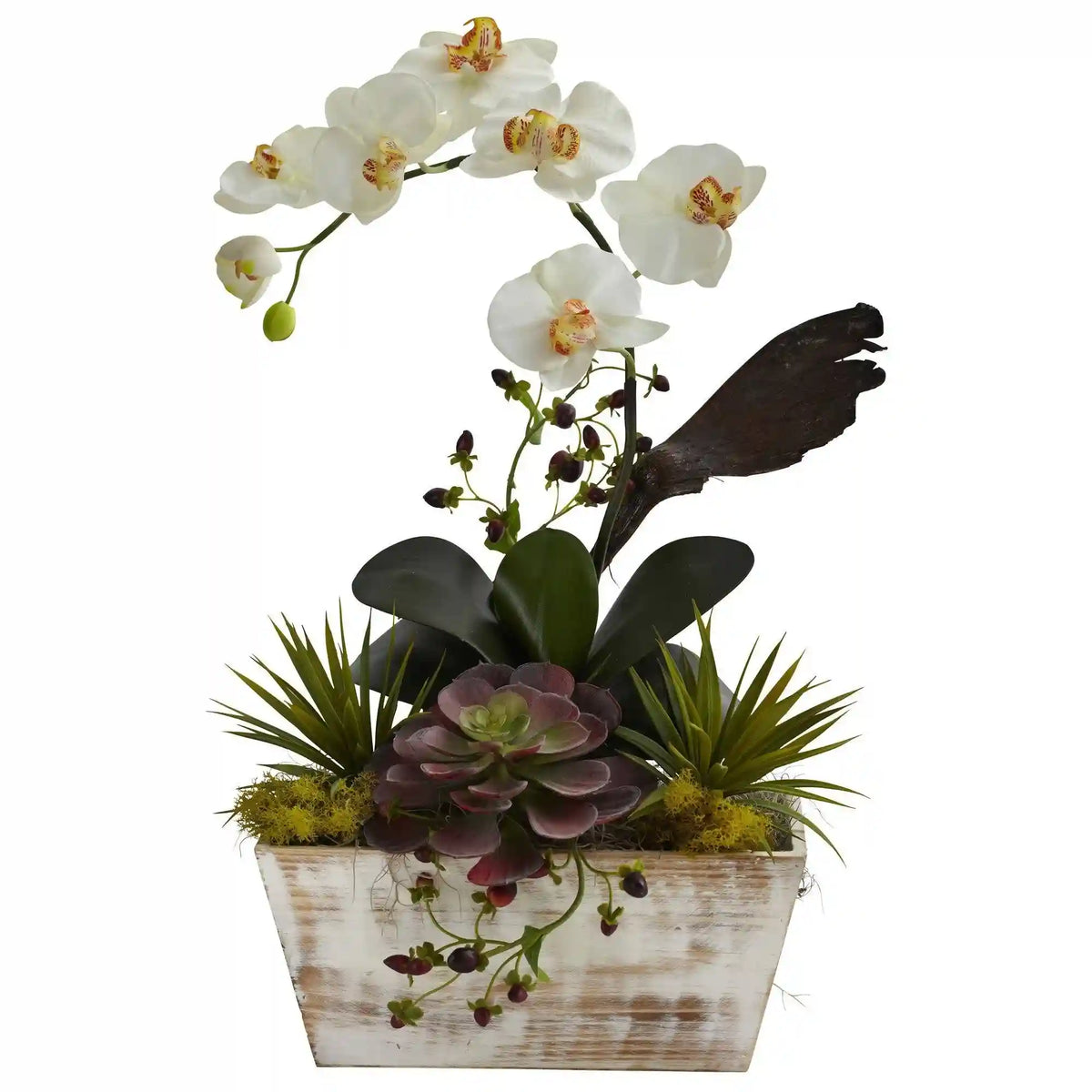 Orchid & Succulent Garden w/White Wash Planter