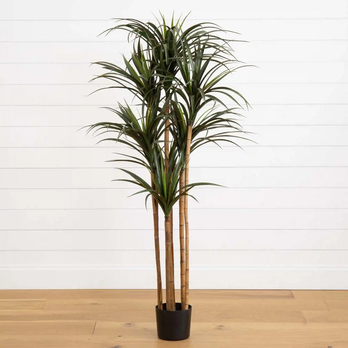 5.5’ Giant Yucca Artificial Tree UV Resistant