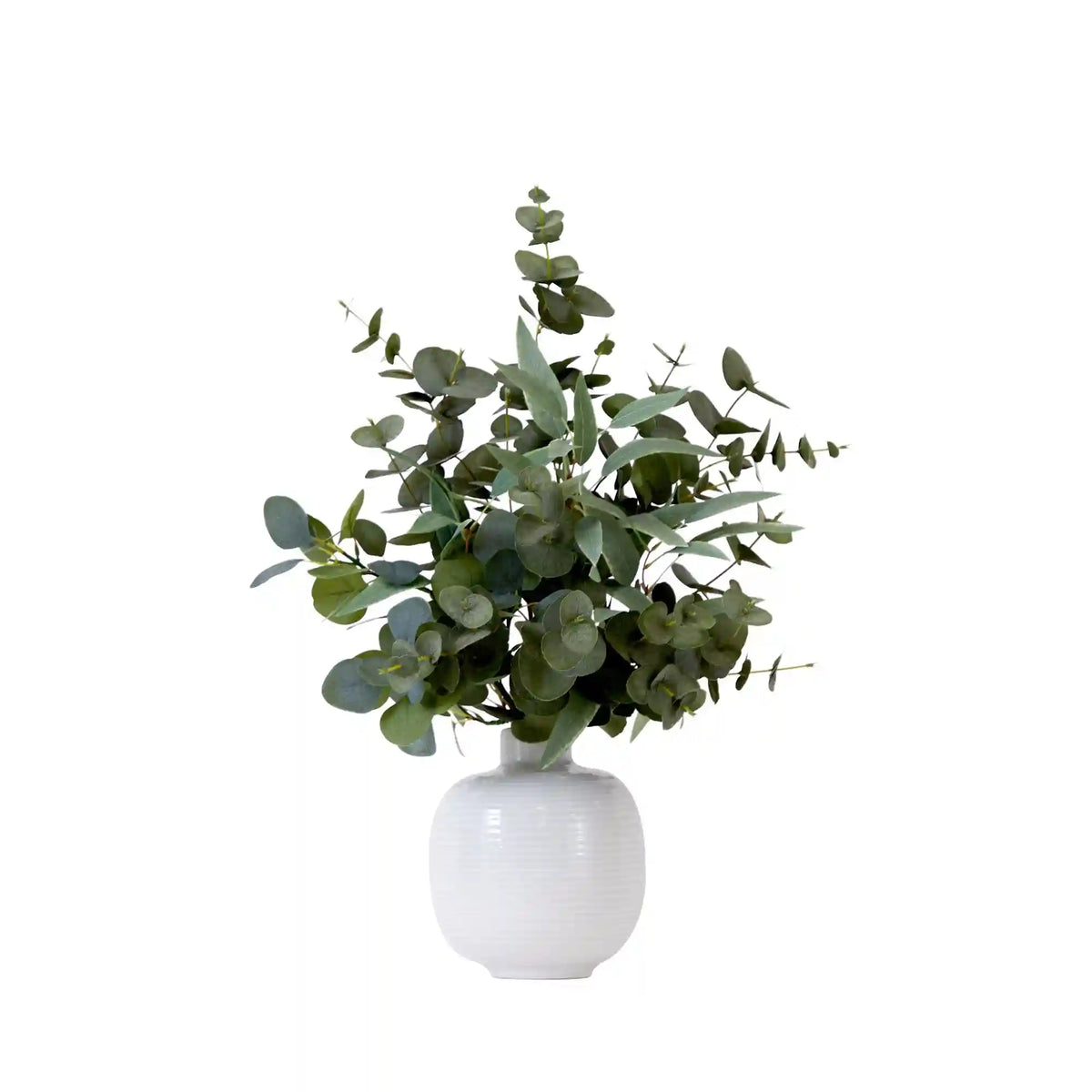 24” Artificial Eucalyptus Leaves Arrangement with Ceramic Planter
