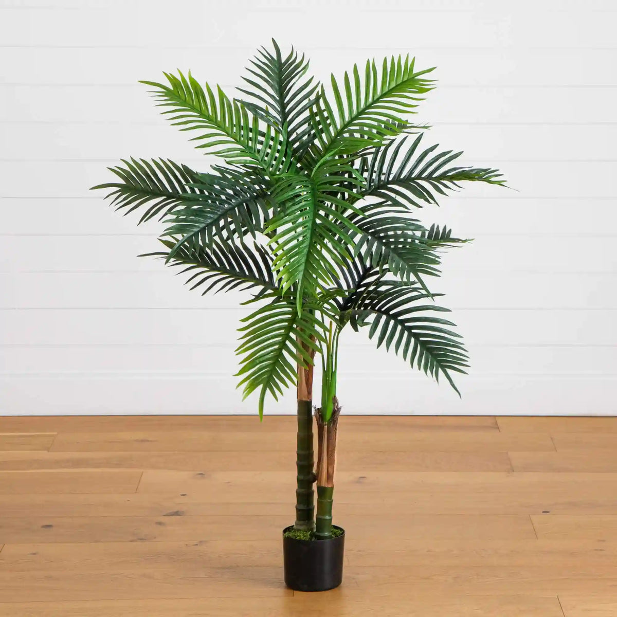 4' UV Resistant Artificial Double Robellini Palm Tree (Indoor/Outdoor)