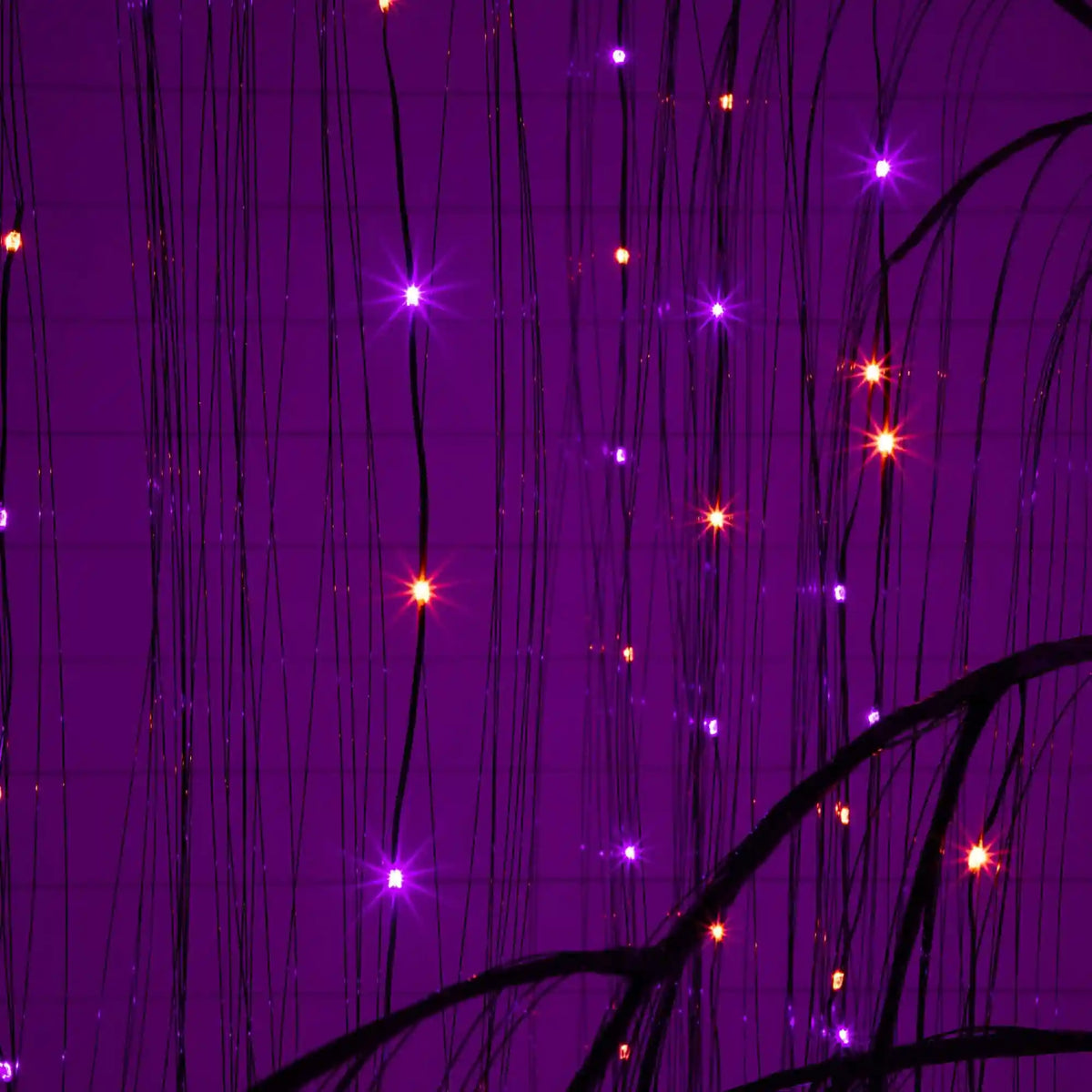 7' Pre-Lit Artificial Halloween Black Willow Tree with 600 Purple and Orange Dual Color LED Lights
