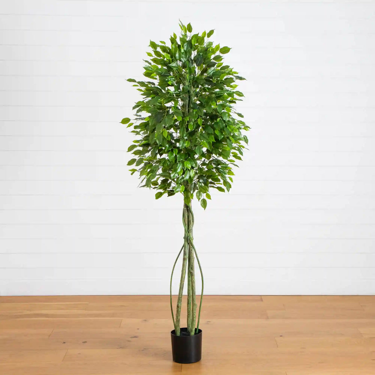 6.5' UV Resistant Artificial Ficus Tree (Indoor/Outdoor)