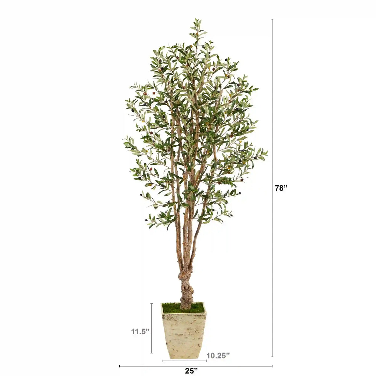 6.5’ Olive Artificial Tree in Country White Planter