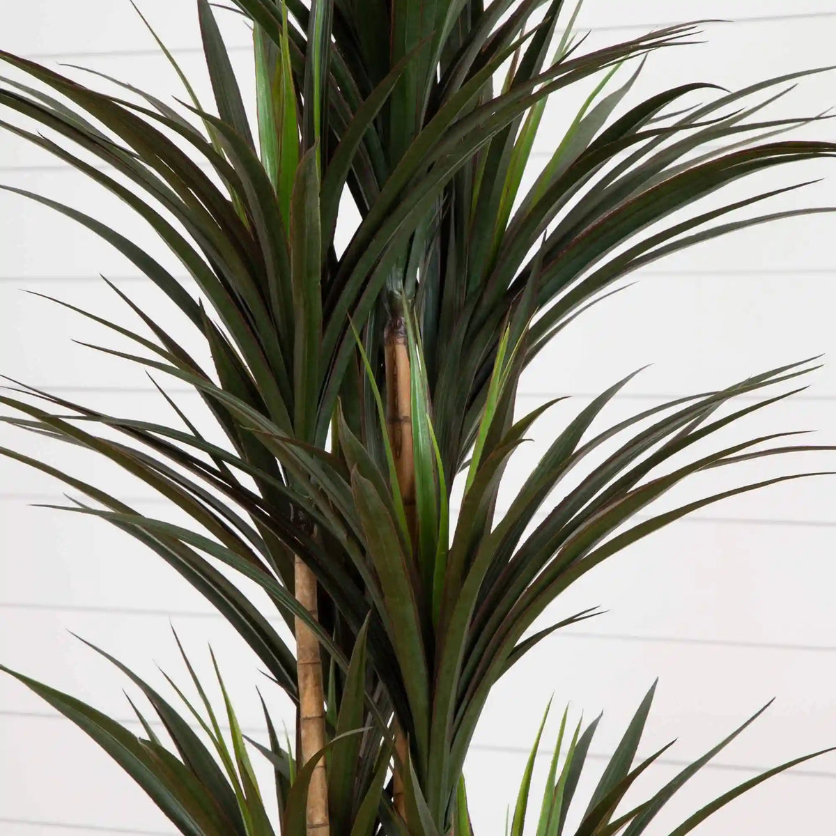 68” Giant Yucca Artificial Tree in Planter (Indoor/Outdoor)