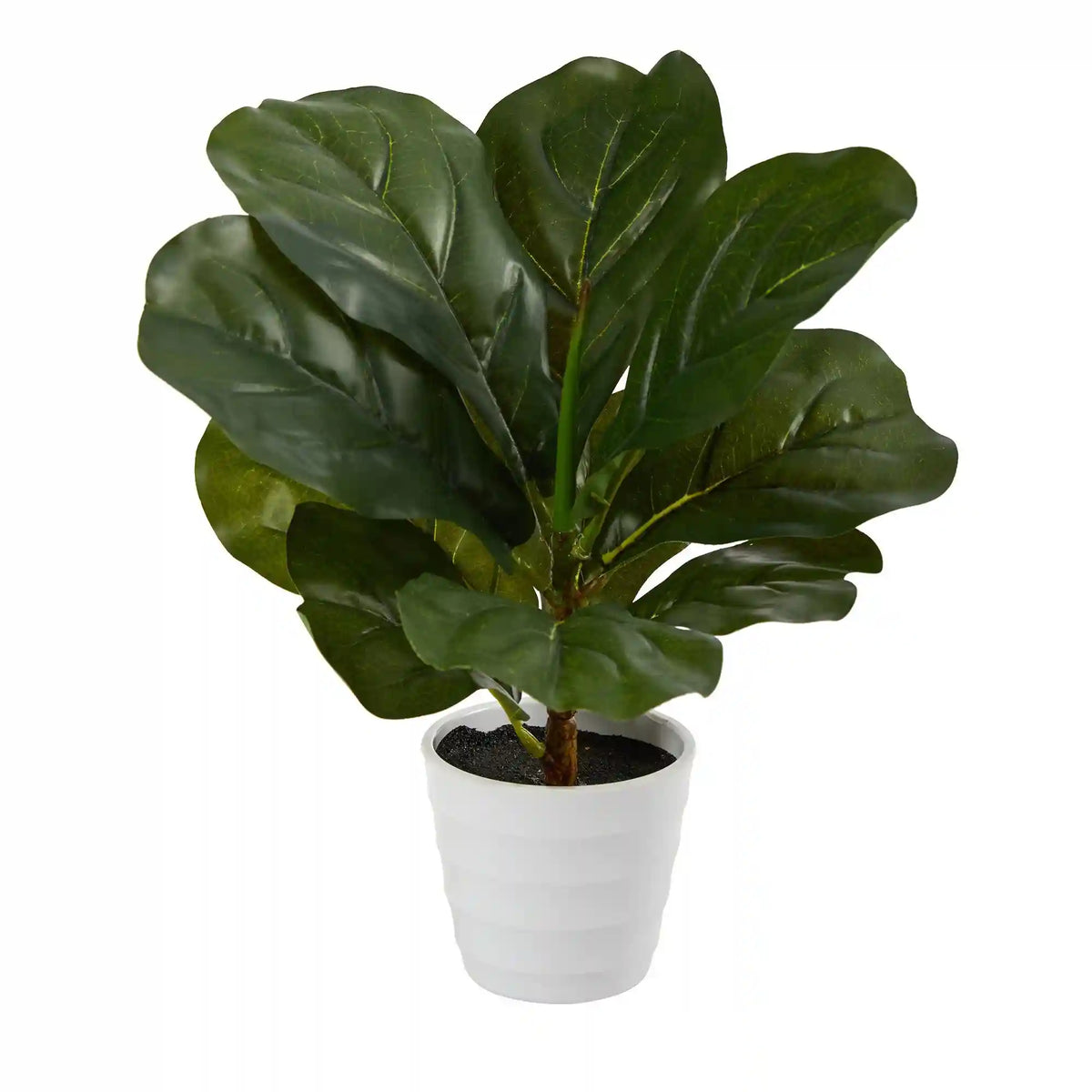 11” Fiddle Leaf Artificial Plant in White Planter (Real Touch)