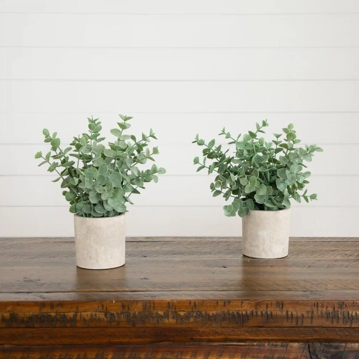 8" Artificial Baby Blue Eucalyptus in Decorative Planter - Set of 2