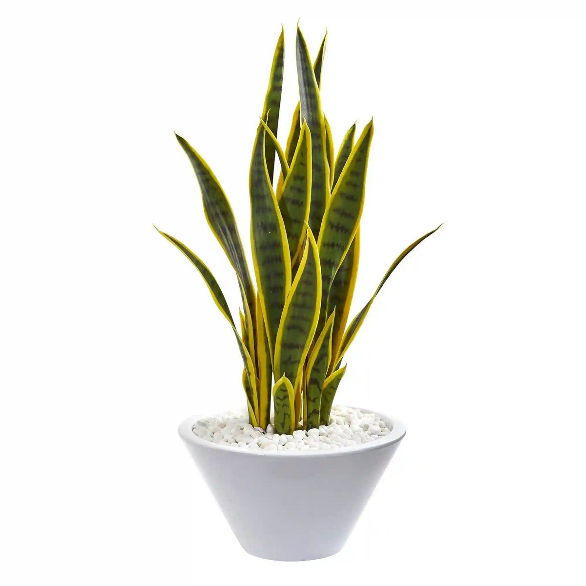 2’ Sansevieria Artificial Plant in White Bowl