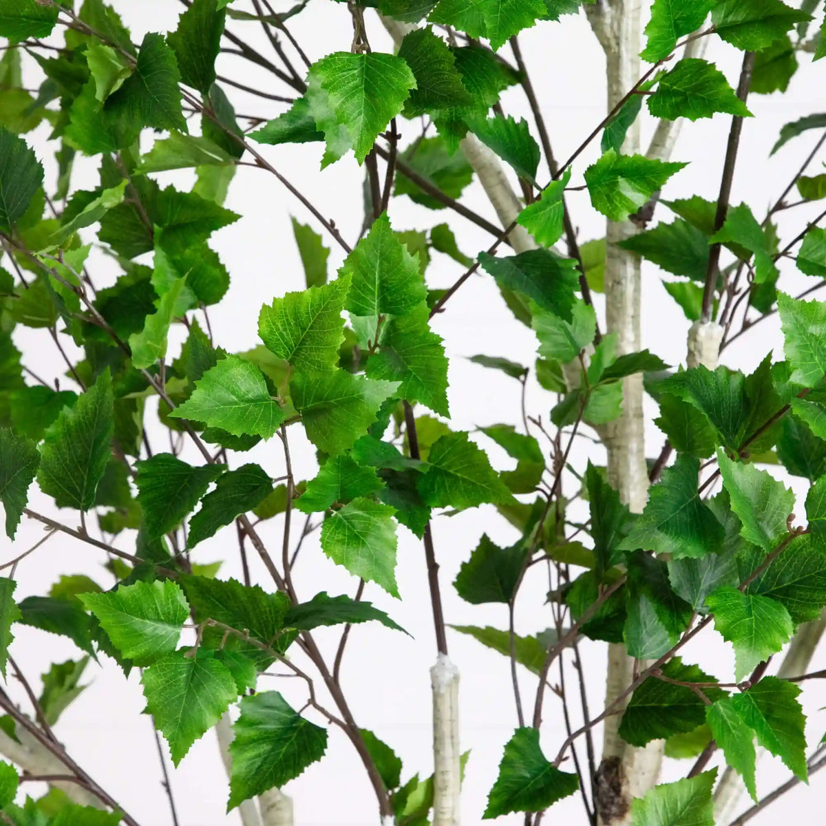 8' Artificial Birch Tree with Real Touch Leaves