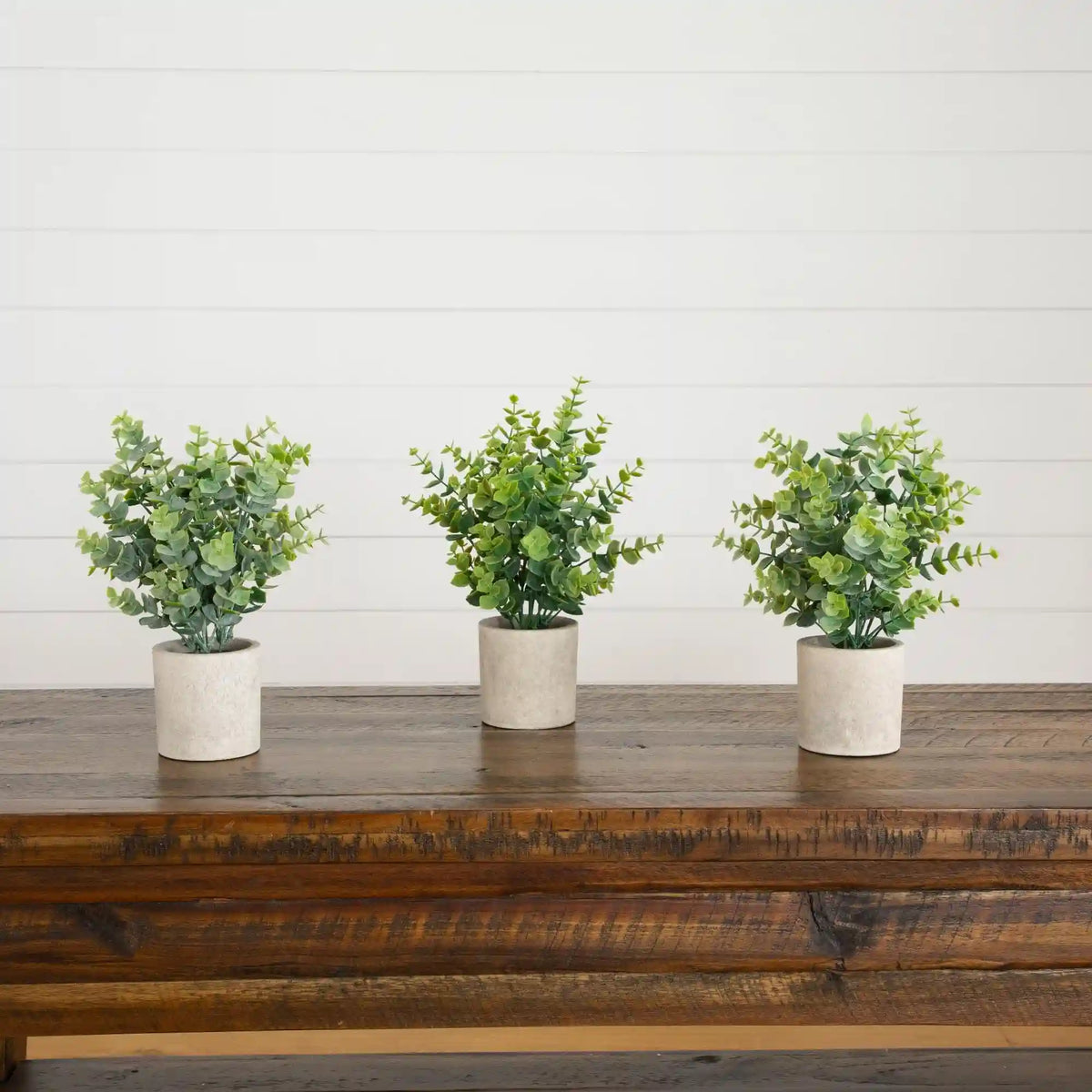 10" Artificial Baby Blue Eucalyptus in Decorative Planter - Set of 3