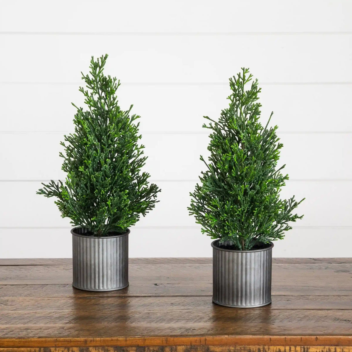 12” Artificial Mini Christmas Cedar Pine Tree in Metal Tin Planter - Set of 2