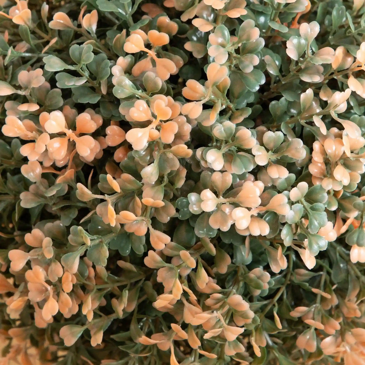 2’ UV Resistant Autumn Double Ball Boxwood Artificial Fall Topiary Tree (Indoor/Outdoor)
