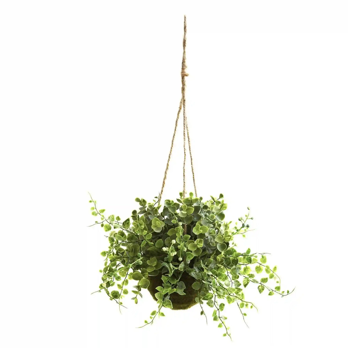Eucalyptus, Maiden Hair & Berry Hanging Basket (Set of 3)