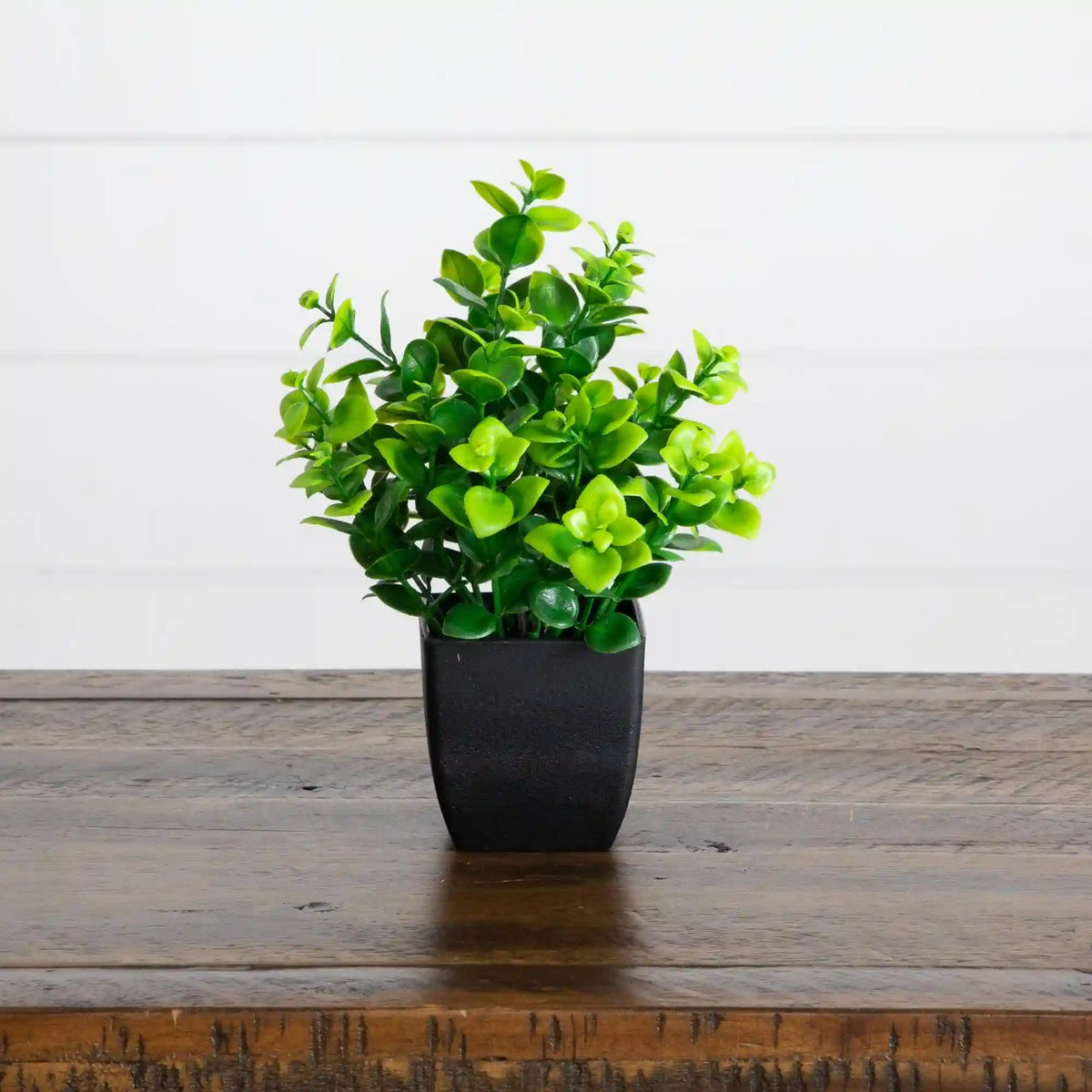 7” Artificial Assorted Green Plant in Black Square Pot - Set of 4