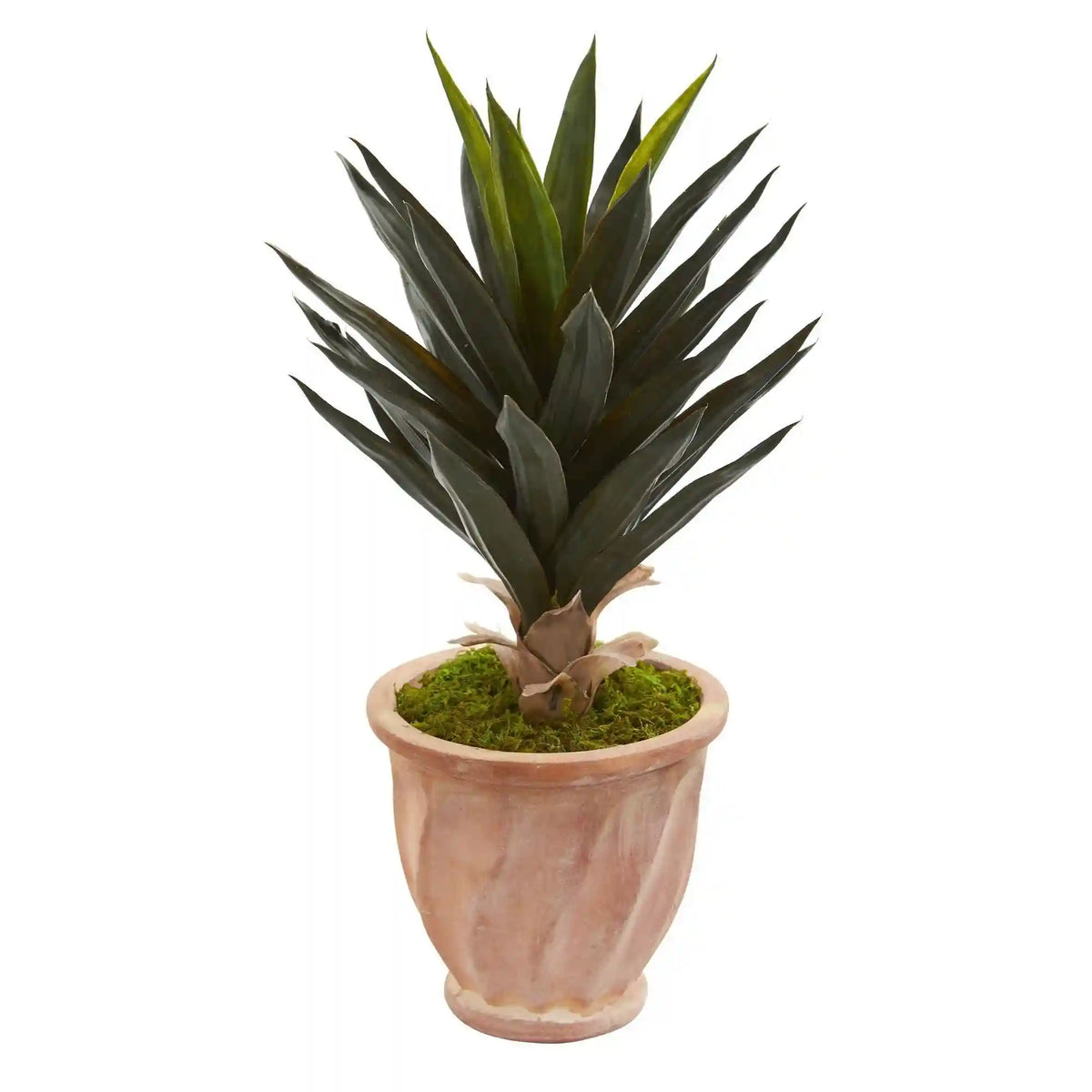 2' Agave Artificial Plant in Terra Cotta Planter