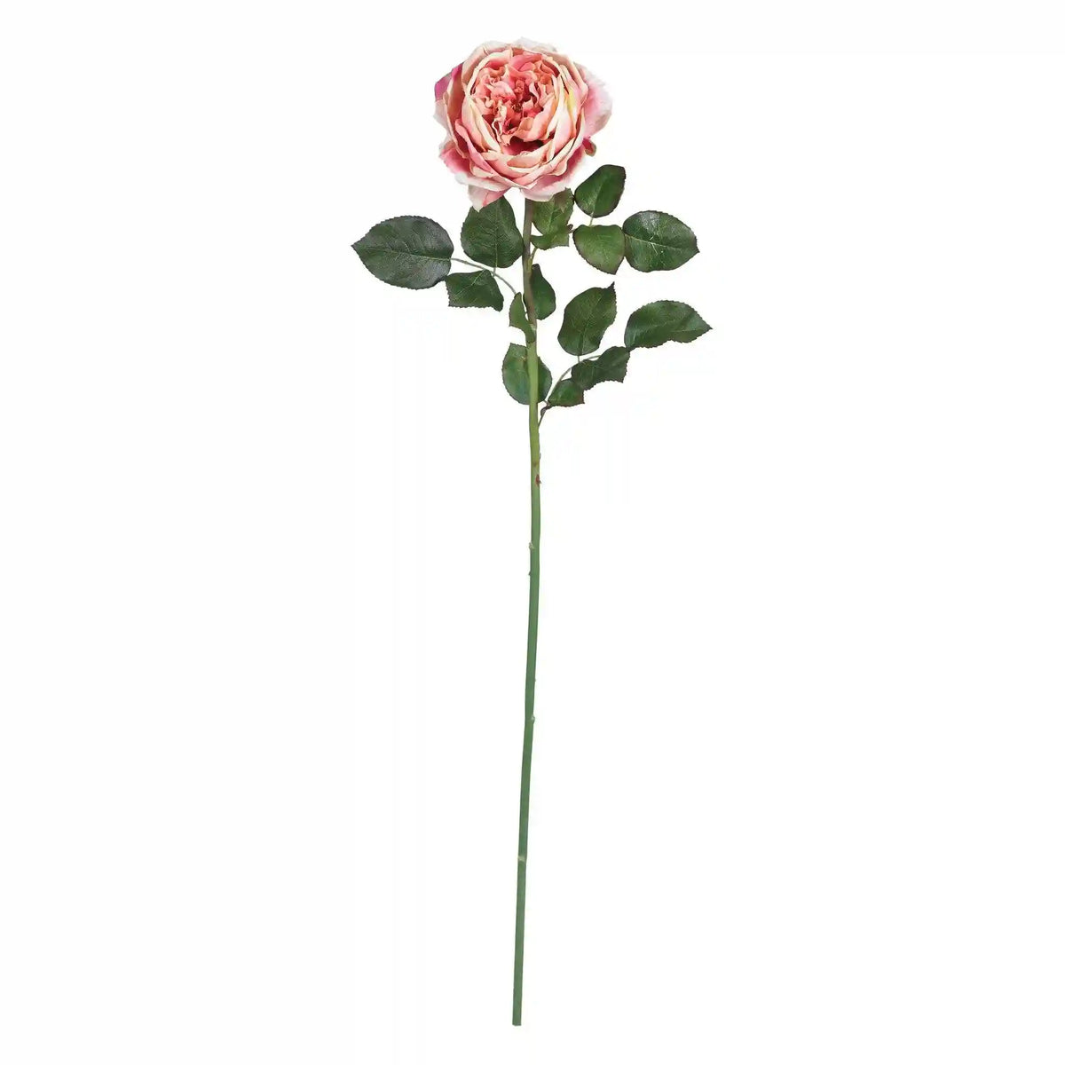 31" Large Rose Stem (Set of 12)"