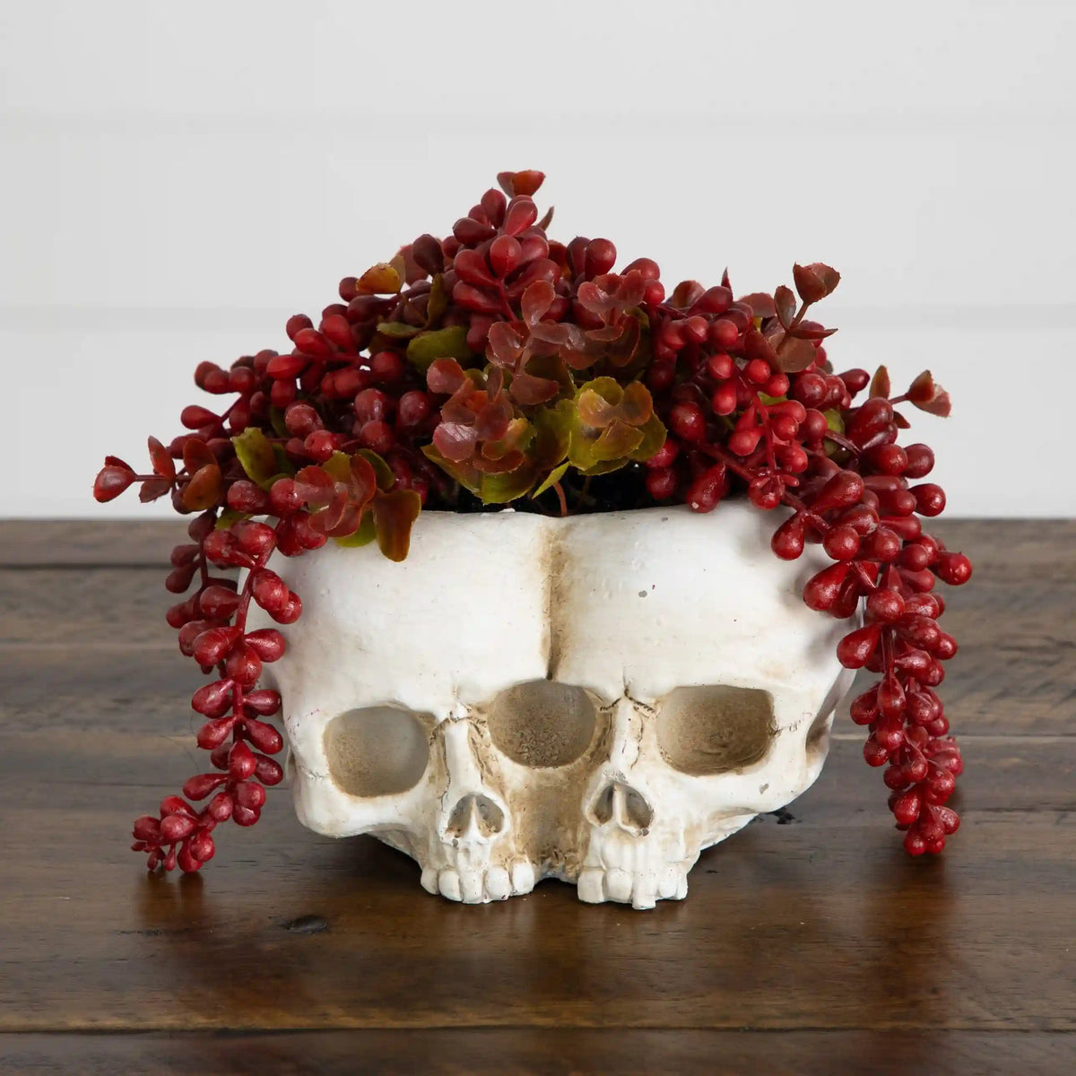 6” Artificial Halloween String of Pearls in Double Skull Planter