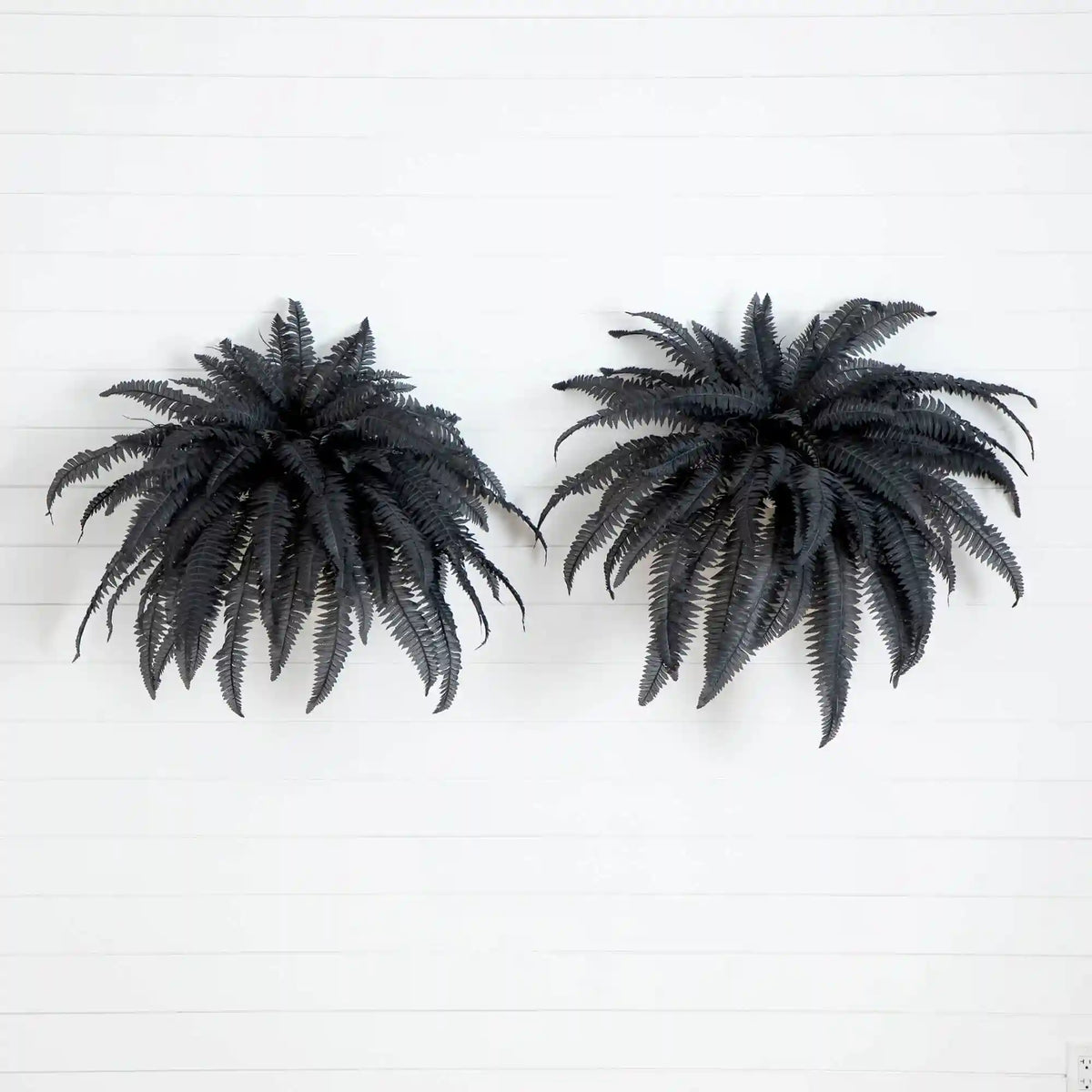 48" Artificial Halloween Black Boston Fern - Set of 2