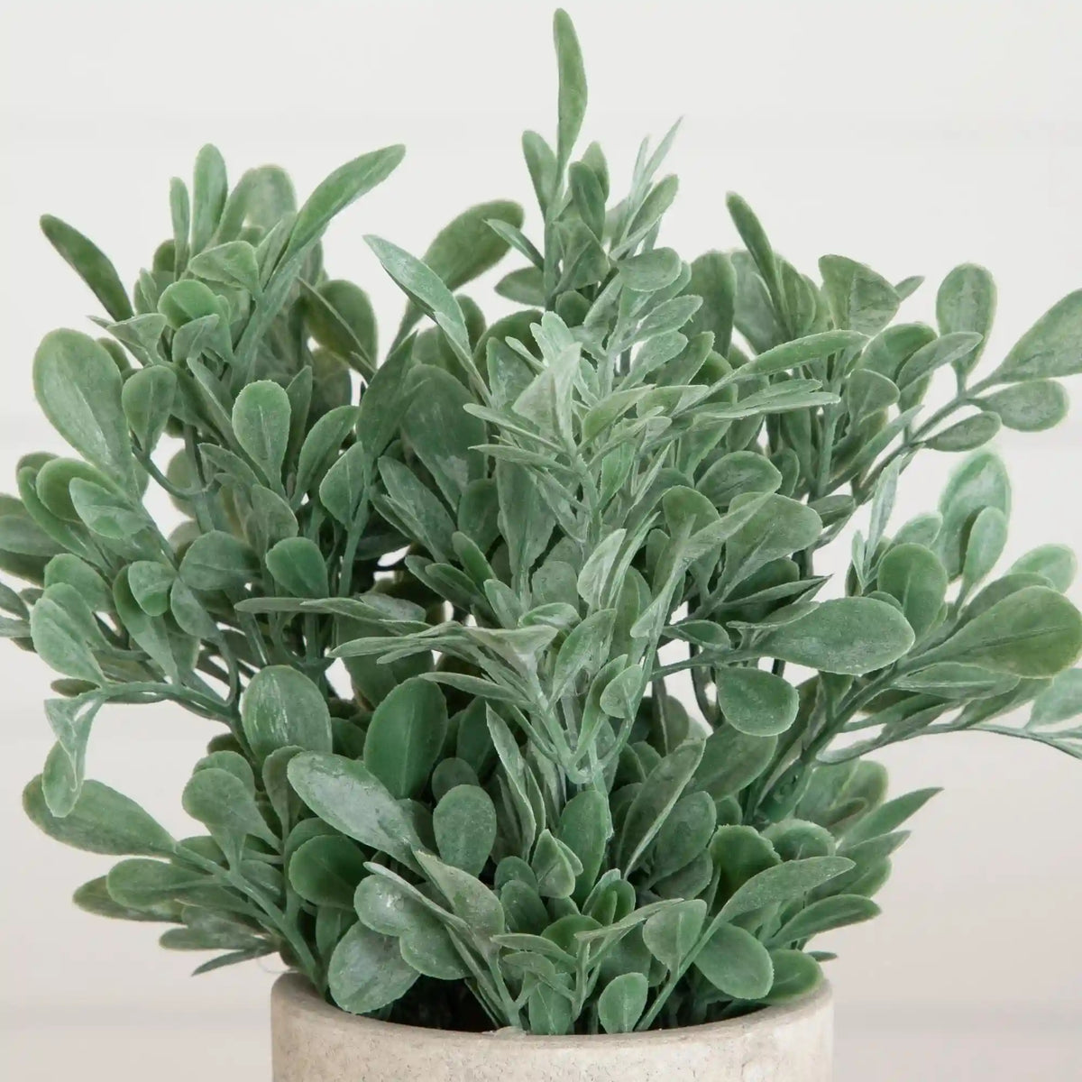 8" Artificial Boxwood in Decorative Planter - Set of 2