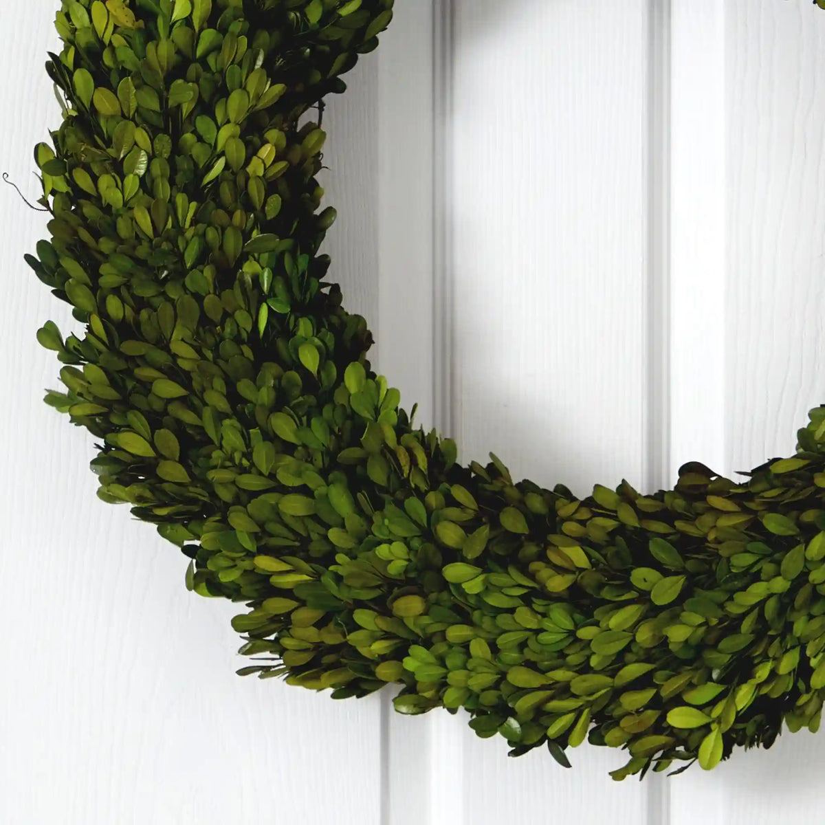 24” Preserved Boxwood Wreath