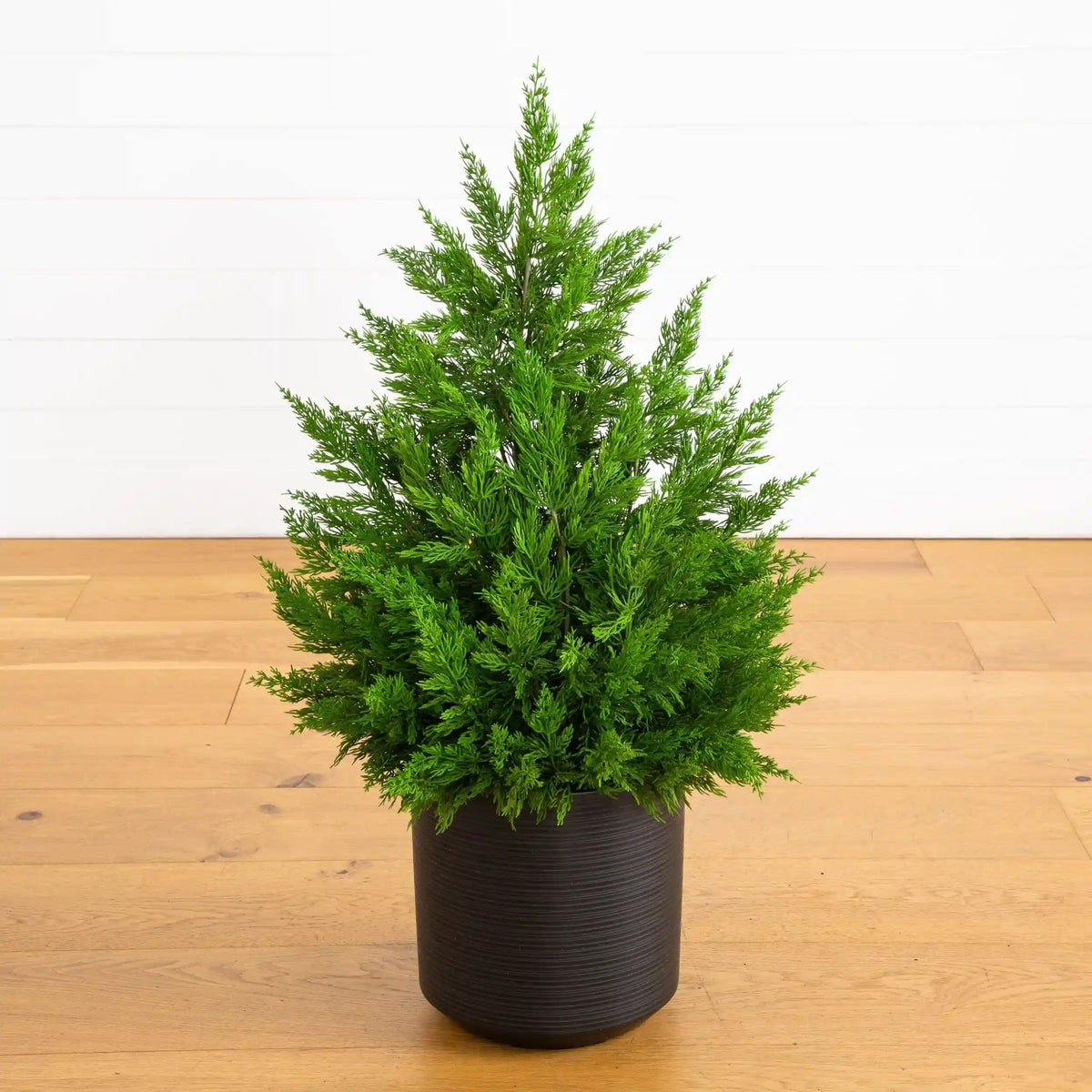 3' Artificial Real Touch Winter Cypress Bush in Black Decorative Planter