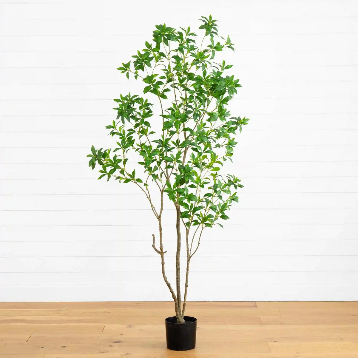 7’ Artificial Minimalist Japanese Pieris Tree