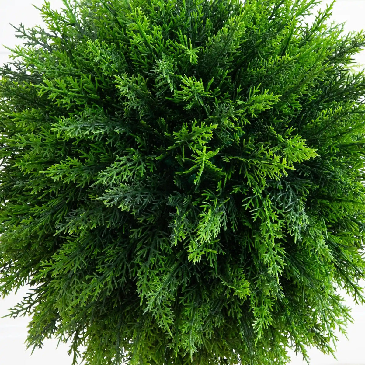 2.5’ UV Resistant Artificial Cedar Ball Topiary Tree in White Decorative Planter (Indoor/Outdoor)