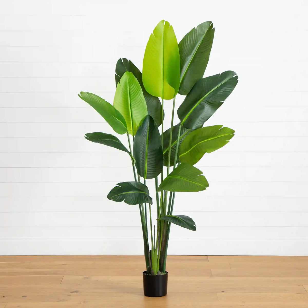6’ UV Resistant Artificial Traveler's Palm Tree (Indoor/Outdoor)