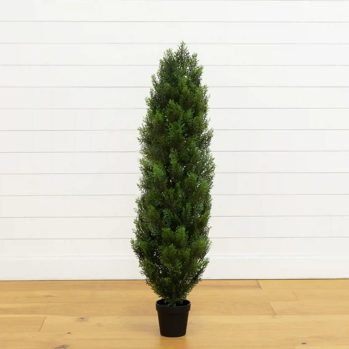 4' Cedar Tree Silk Tree (Indoor/Outdoor)