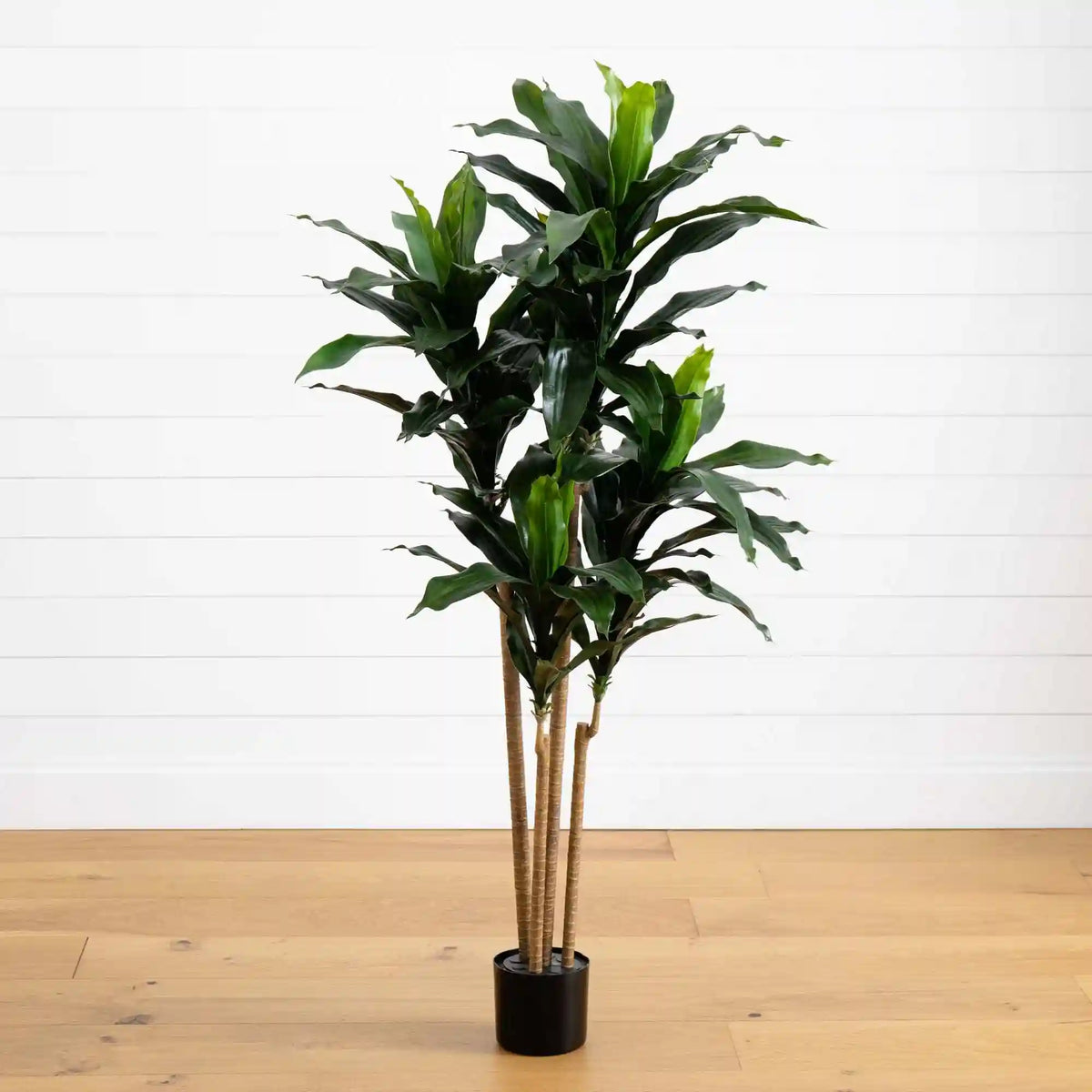 5’ Dracaena Plant UV Resistant (Indoor/Outdoor)