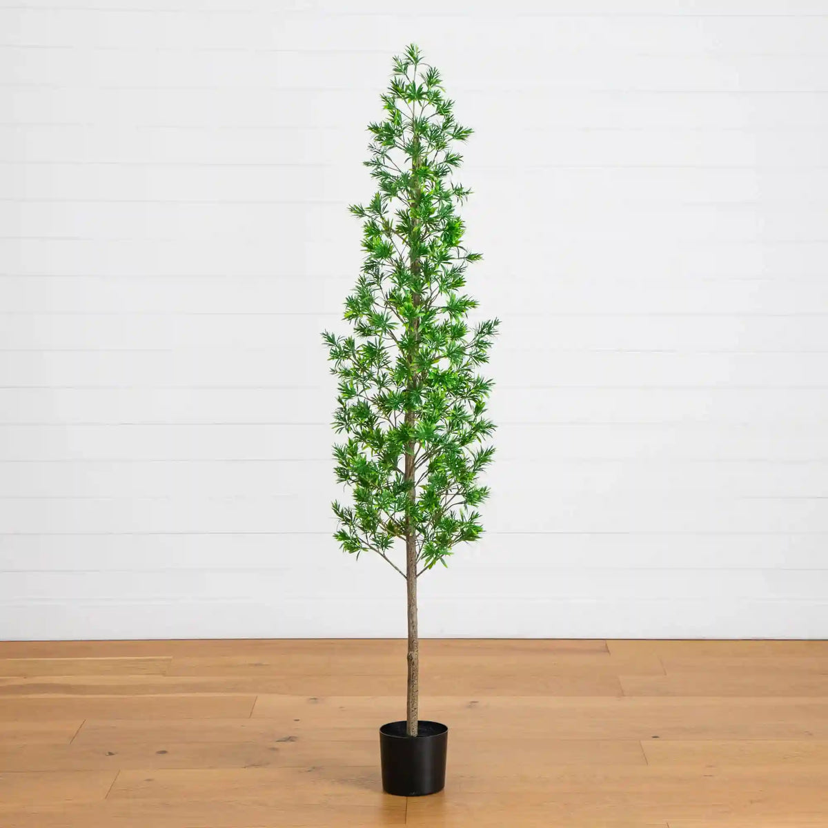 6' UV Artificial Podocarpus Artificial Tree (Indoor/Outdoor)