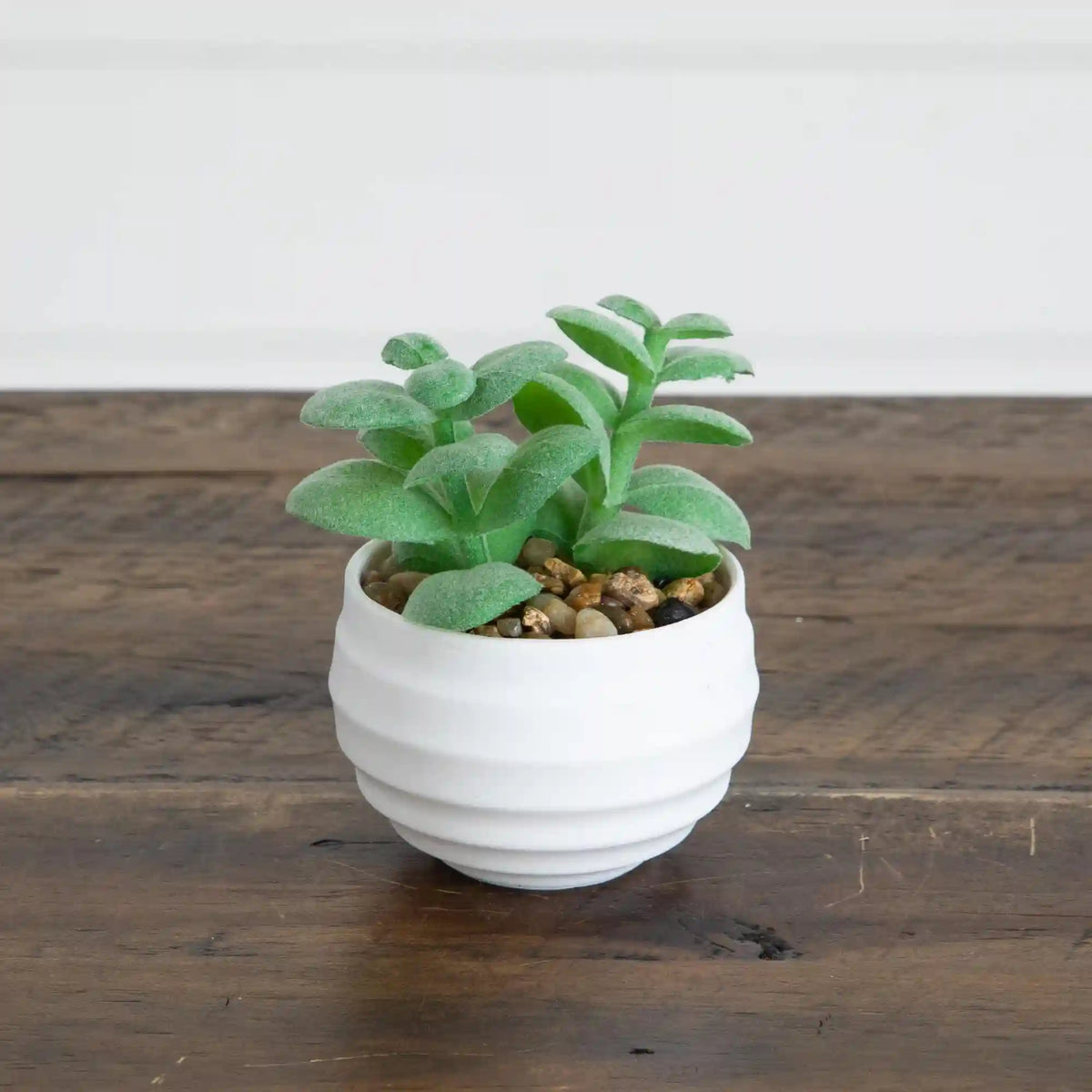 3" Artificial Mini Succulent Plants in Decorative White Oval Planters - Set of 6