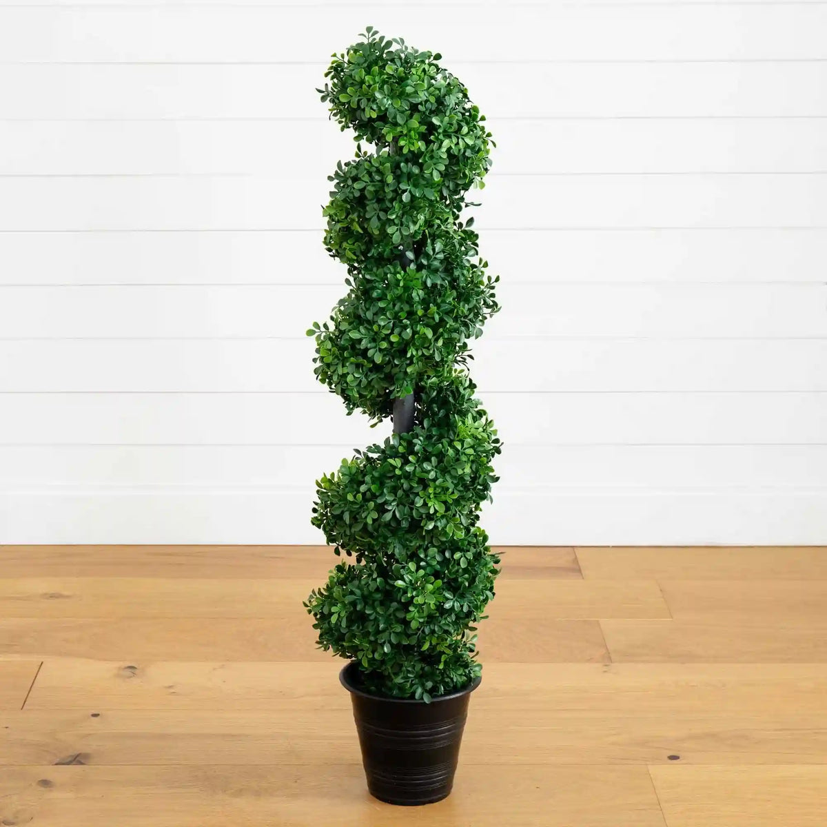 4' Boxwood Spiral Topiary with Planter (Indoor/Outdoor)