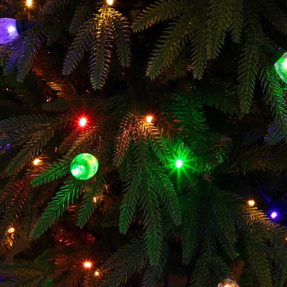 5' Pre-Lit Artificial Luxembourg Pine Christmas Tree with 170 Multicolored Traditional Bulb LED Lights