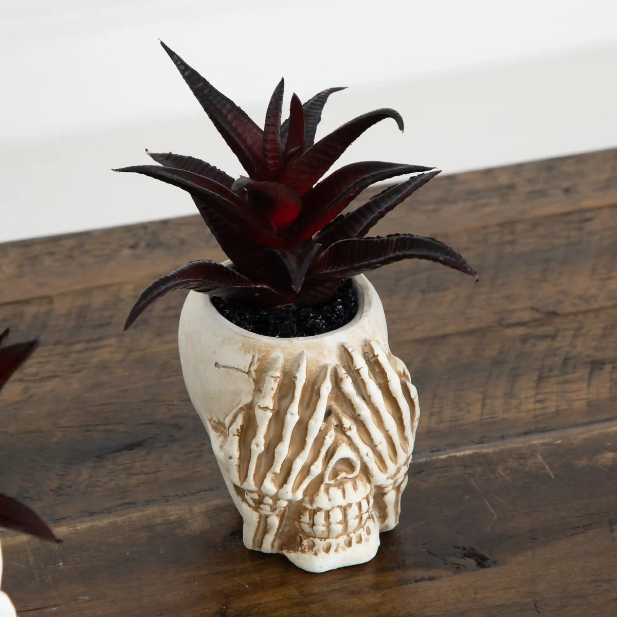 6” Artificial Halloween Speak, Hear, See No Evil Succulent Plant Skull Decor - Set of 3