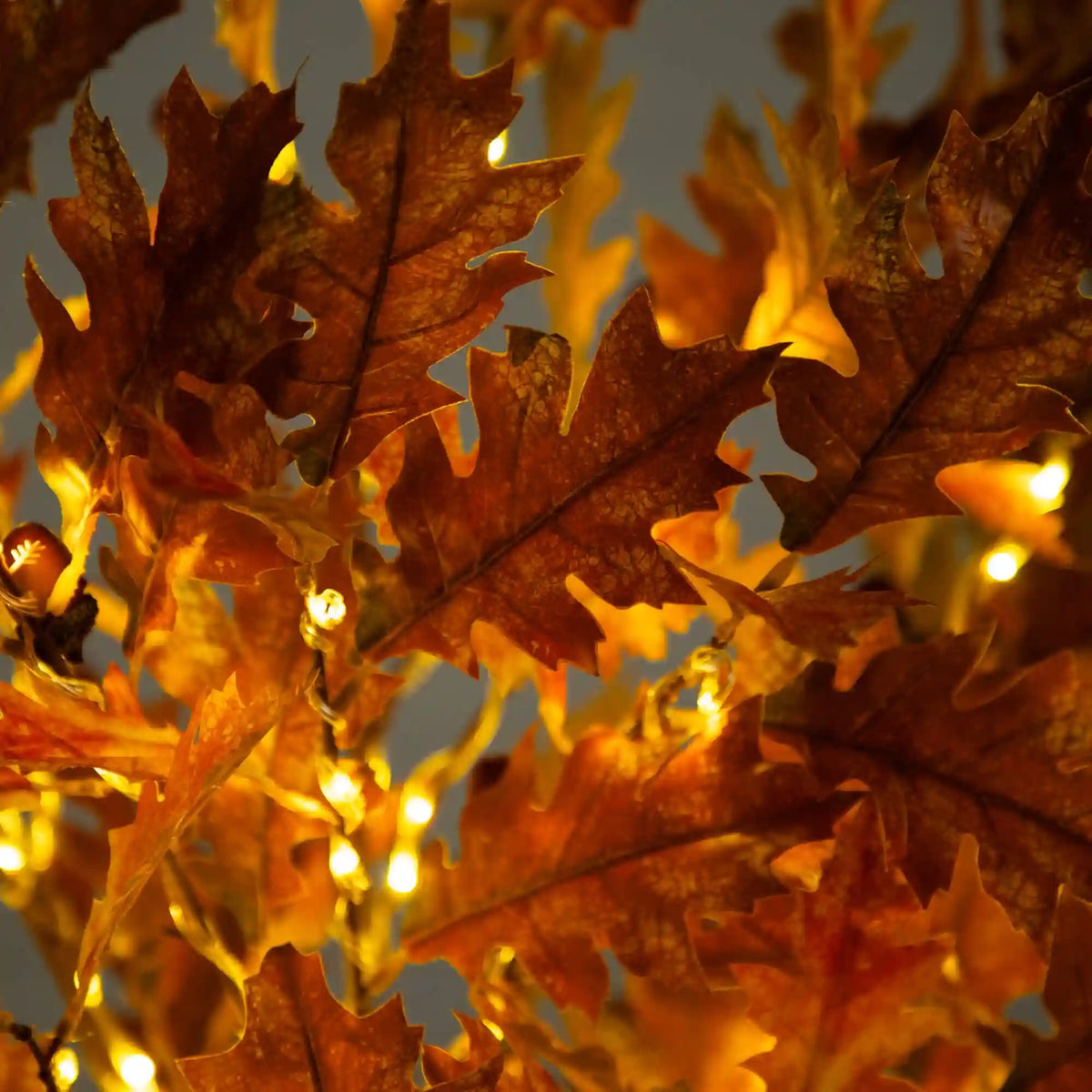 6' Pre-Lit Burnt Orange Autumn Maple Artificial Fall Tree with 300 Warm White LED Lights