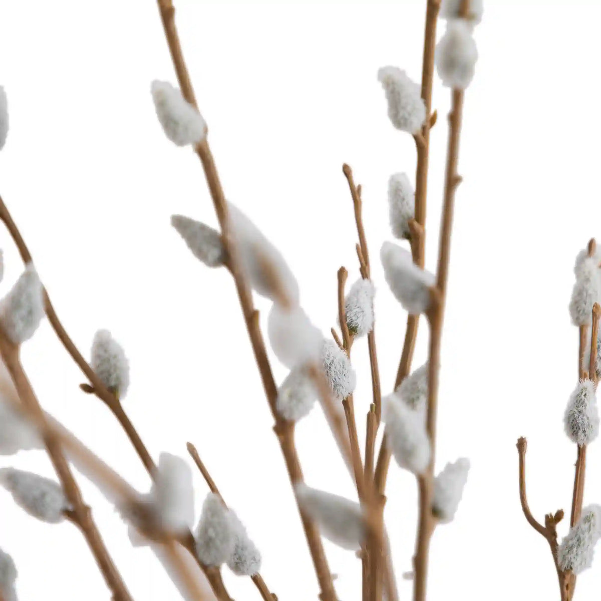 28” Artificial Pussy Willow Arrangement in Modern Metal Black Vase