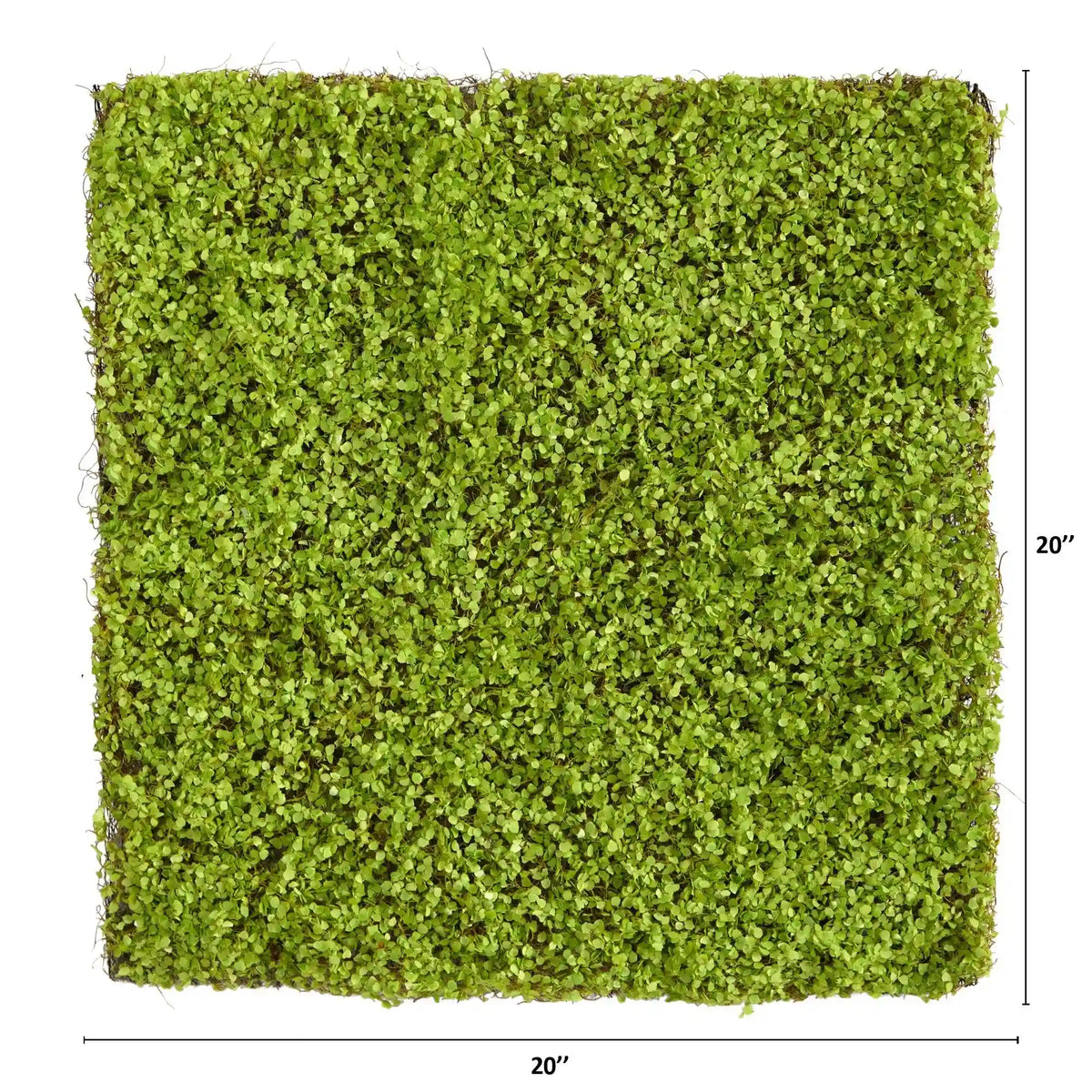 20” X 20” Duckweed Artificial Wall Mat