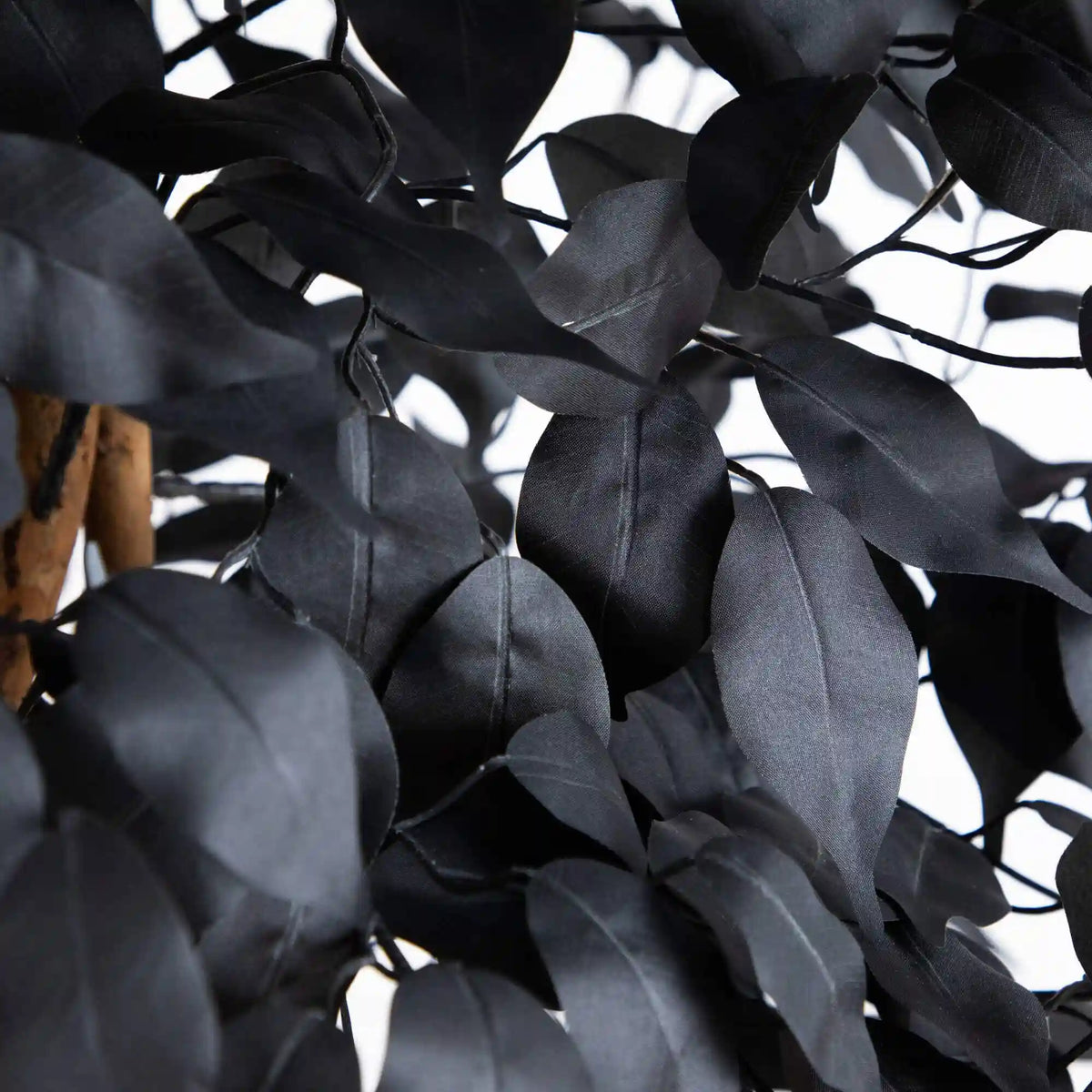 7' Artificial Halloween Black Ficus Tree with Natural Trunk
