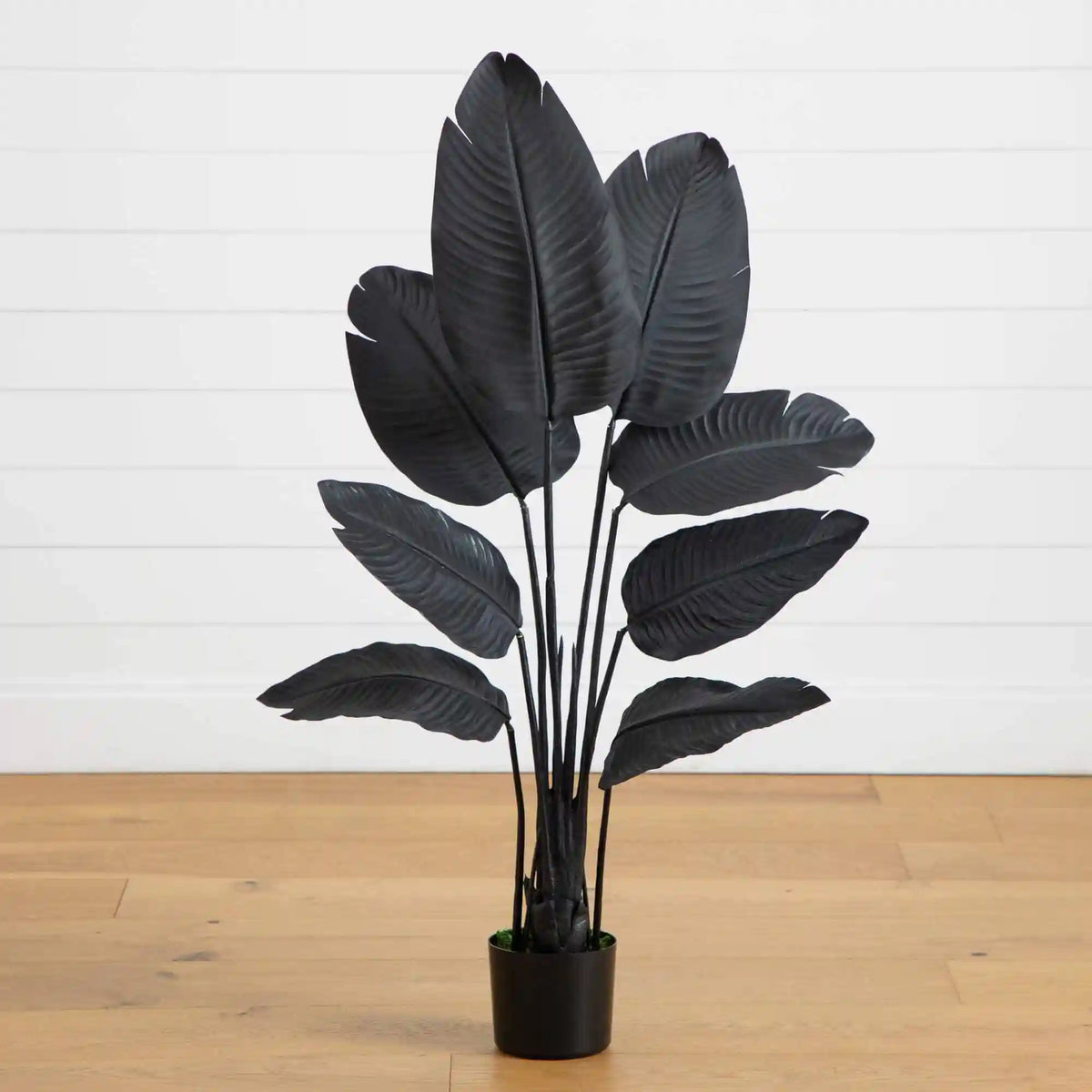 4' Artificial Halloween Black Traveler's Palm Tree