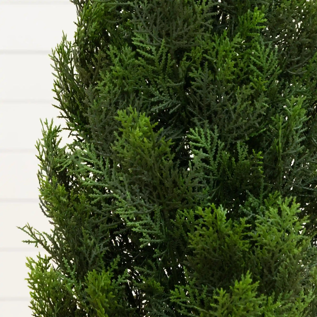 4' Cedar Tree Silk Tree (Indoor/Outdoor)
