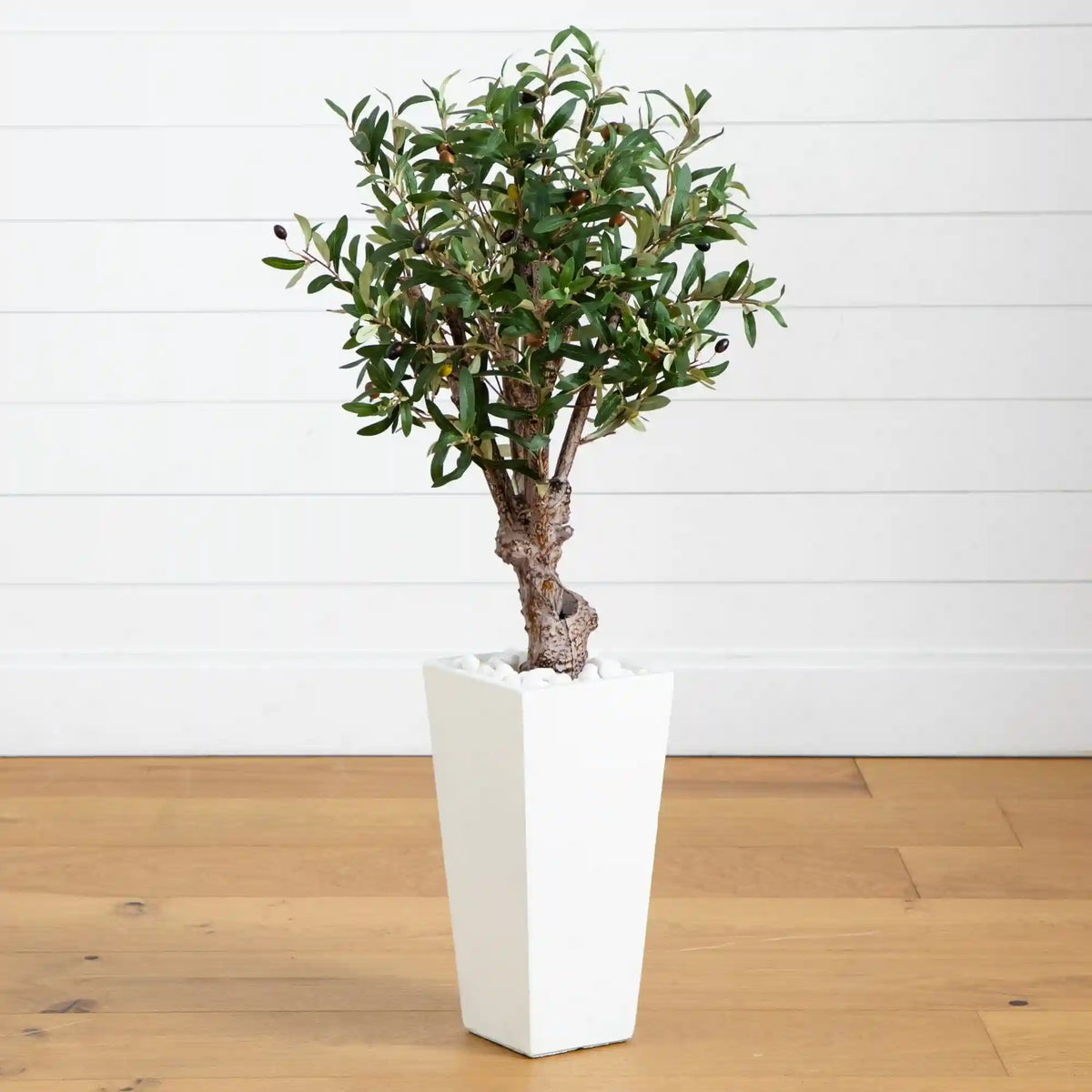 3.5’ Olive Tree in White Tower Planter