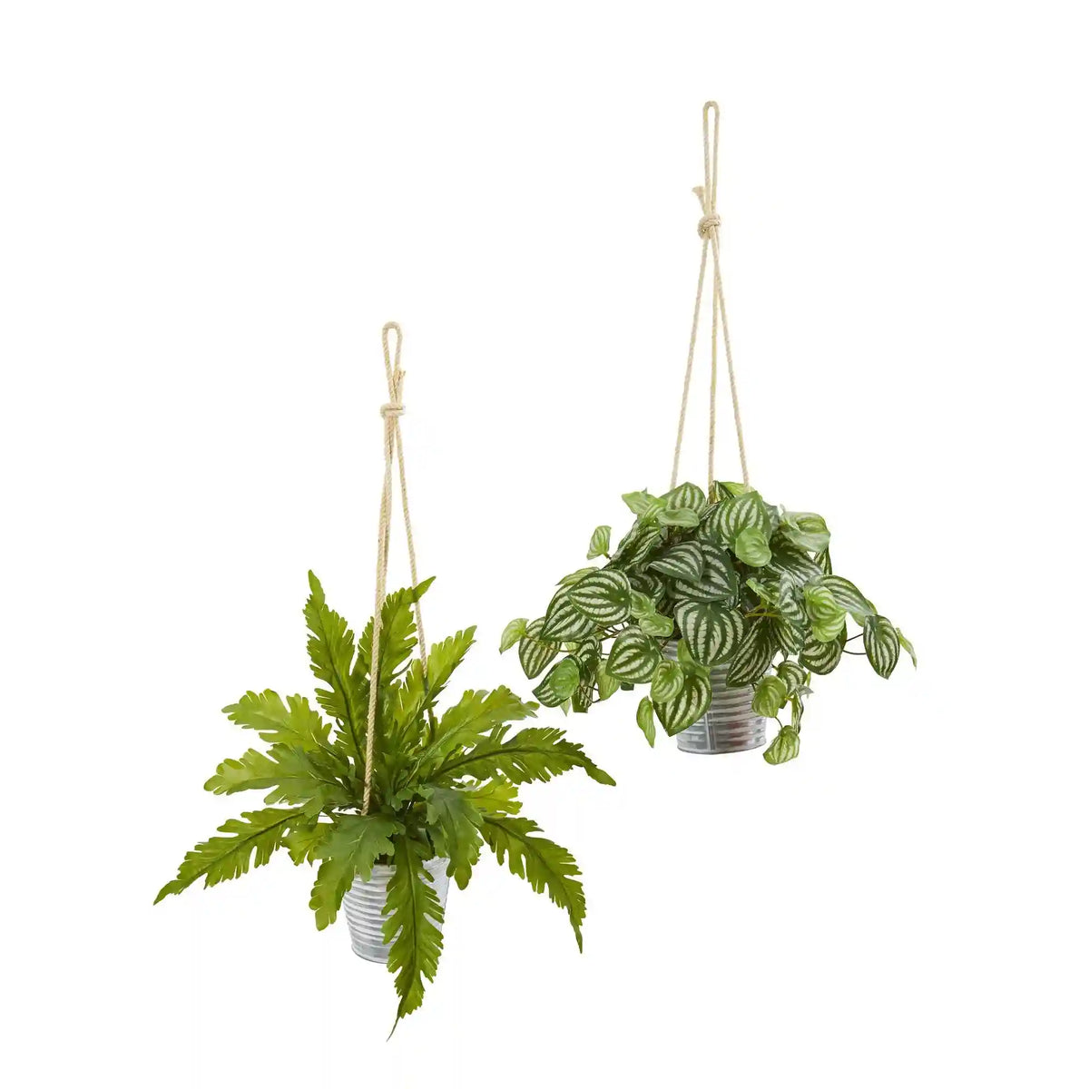 26” Watermelon Peperomia and Fern Artificial Plant in Hanging Bucket (Set of 2)