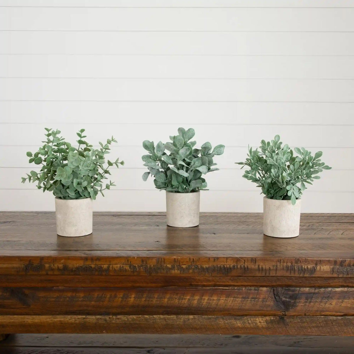 8" Artificial Mixed Eucalyptus Plant in Decorative Planter - Set of 3