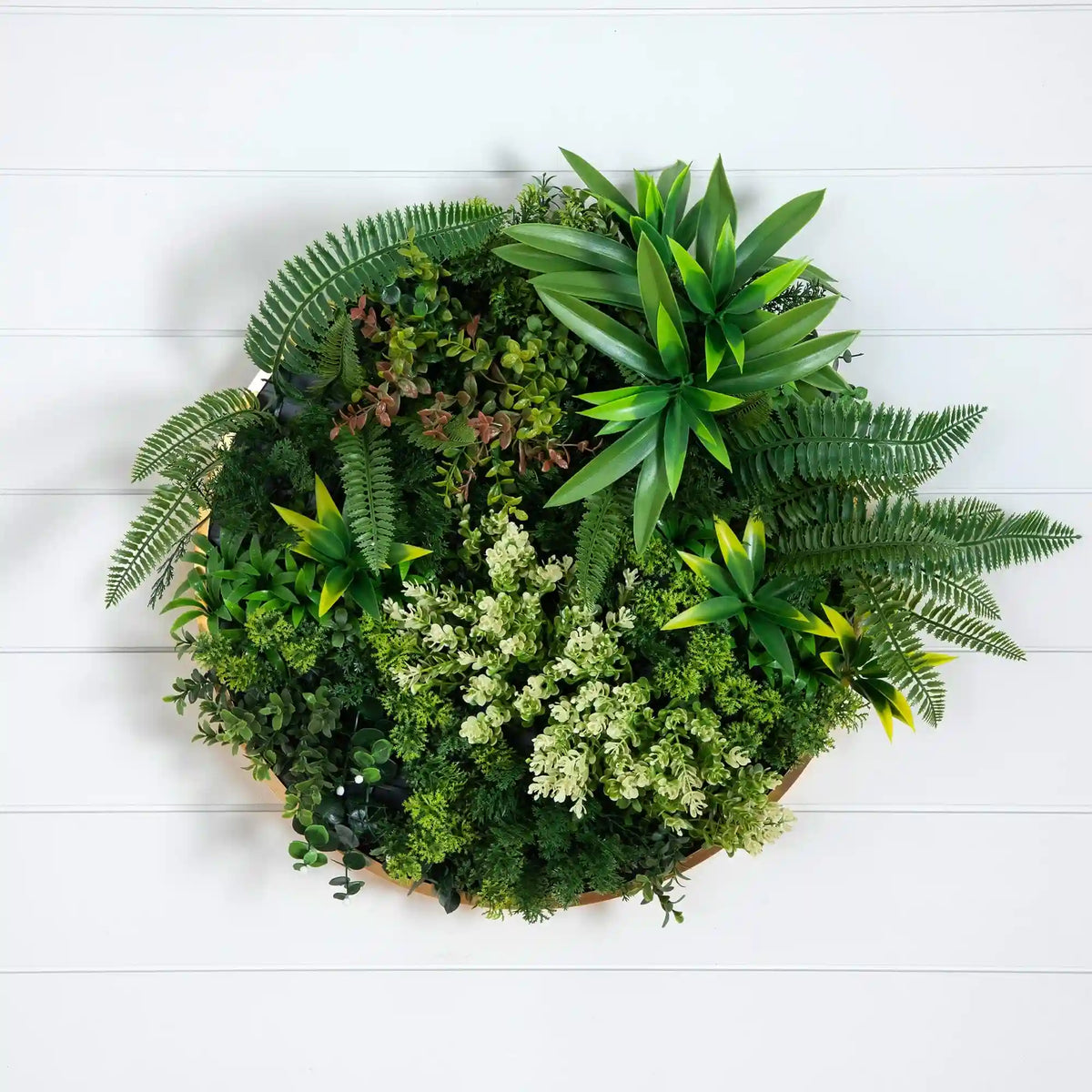 20” UV Resistant Artificial Queensland Rainforest Living Wall Art Panel in Gold Aluminum Frame